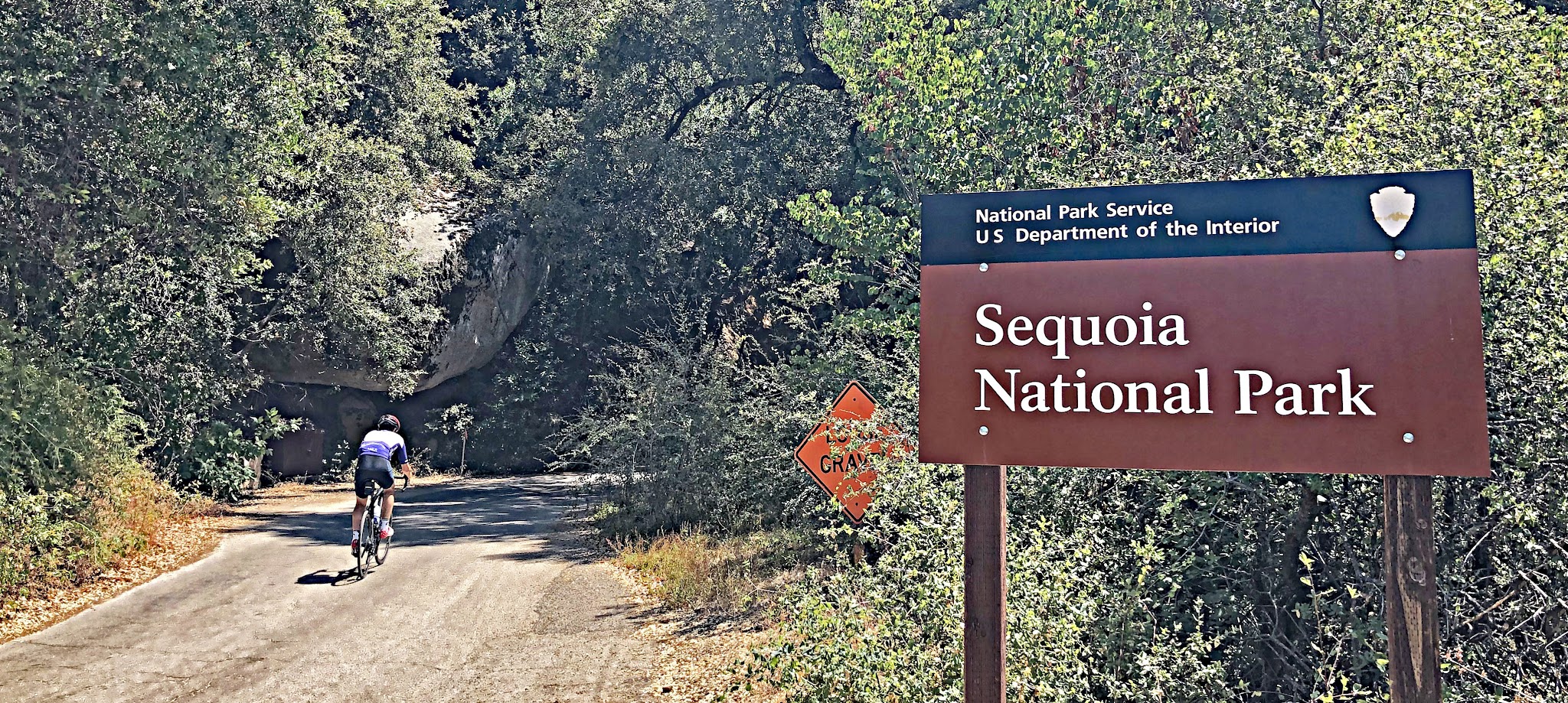 Cycling California's most epic bike climbs - Winding Road sign on Mineral King Road in Sequoia National Park