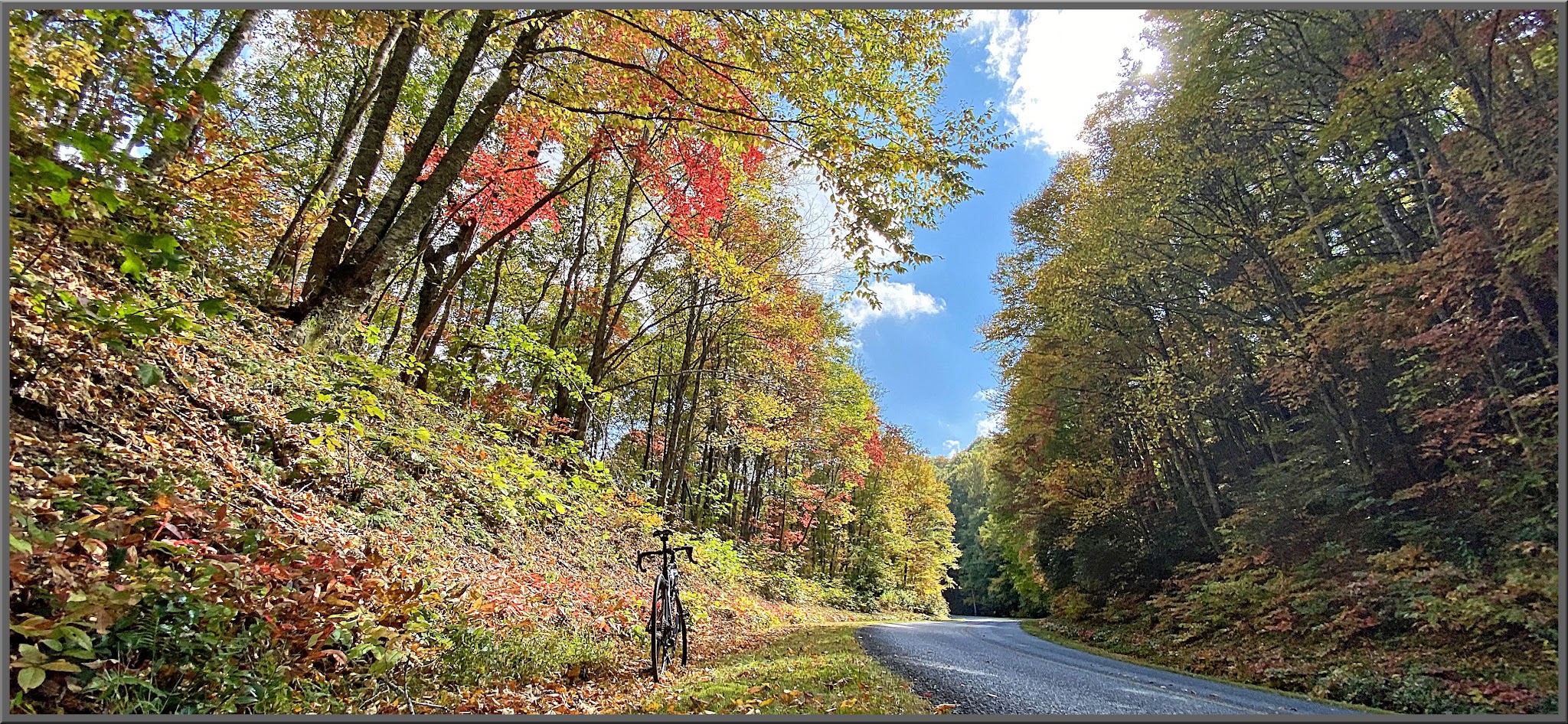 Cycling Blue Ridge Parkway, Cherokee Hill, North Carolina - bike parked under bright fall foliage on roadside