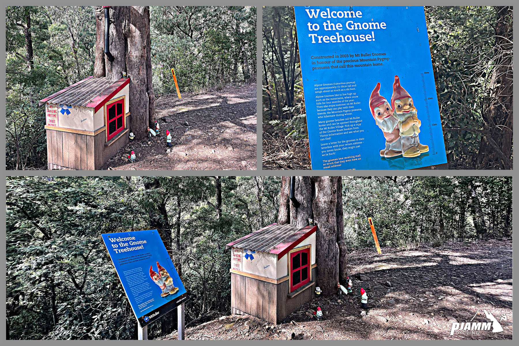 tiny little gnome house built against tree on road side