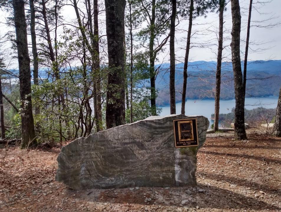 A rock with a plaque in the middle of a forest

Description automatically generated