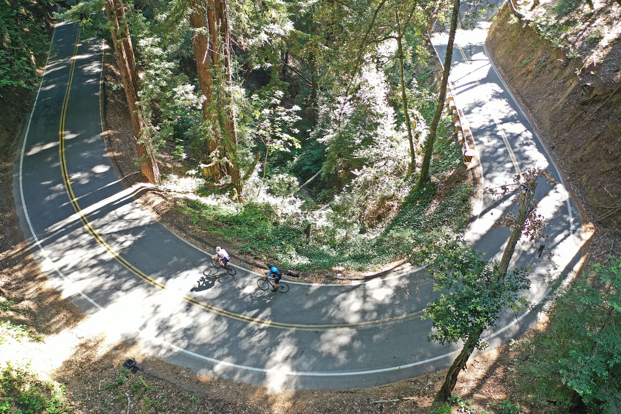Aerial drone view of two cyclists on U shaped curve in redwood lined roadway