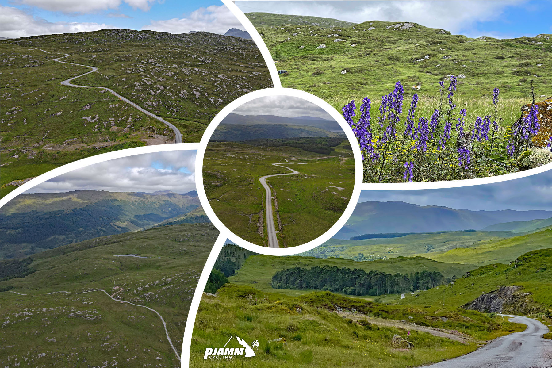 photo collage shows rugged hills of Scottish Highlands, purple wildflowers, green grass