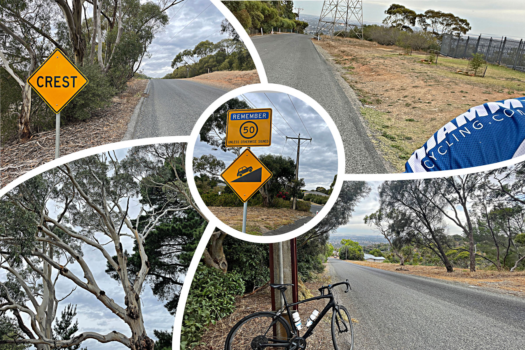 photo collage; eucalyptus trees, speed limit 50; sign reading "Crest" 