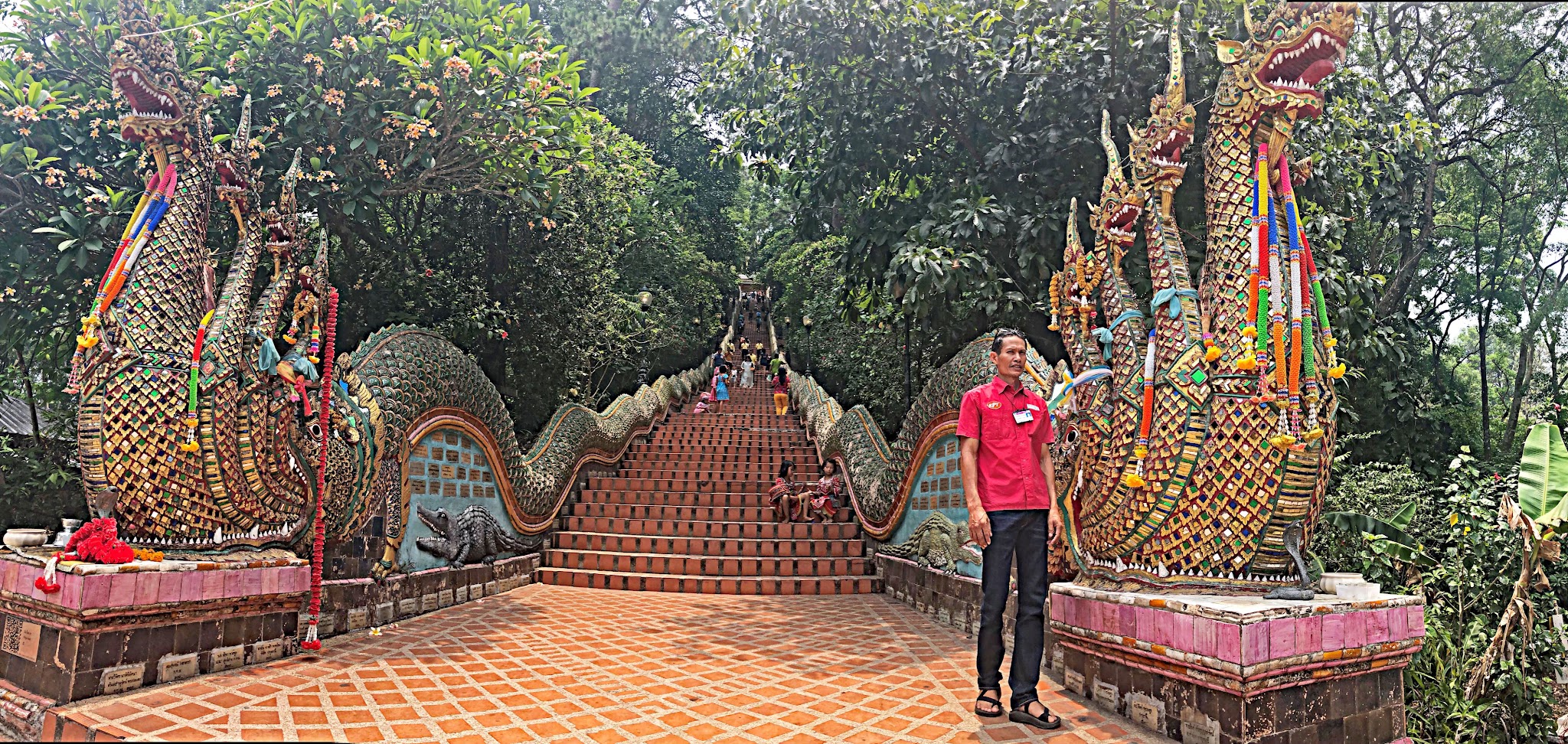 Doi Inthanon - Ard Oostra