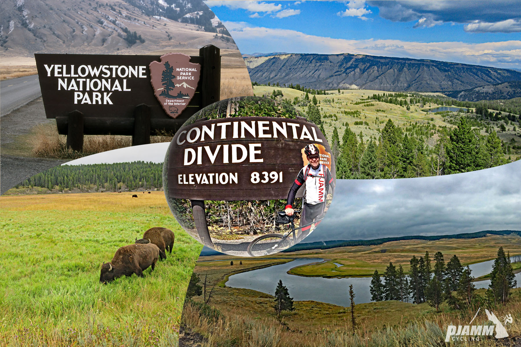 Cycling Wyoming's Top Climbs - Yellowstone National Park, photo collage, NPS Sign for Yellowstone National Park, cyclist standing in front of sign for Continental Divide, buffalo grazing in field, PJAMM Cycling logo in corner