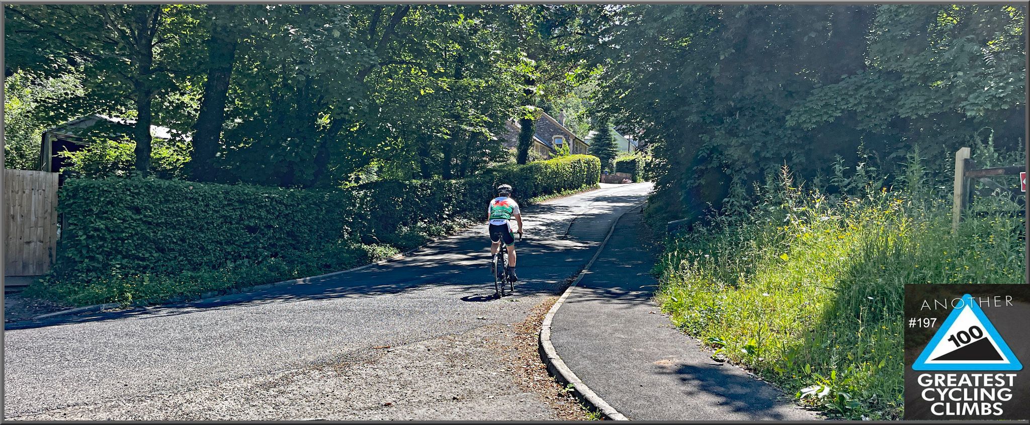 PJAMM Cyclist rides on one-lane tree-shaded roadway