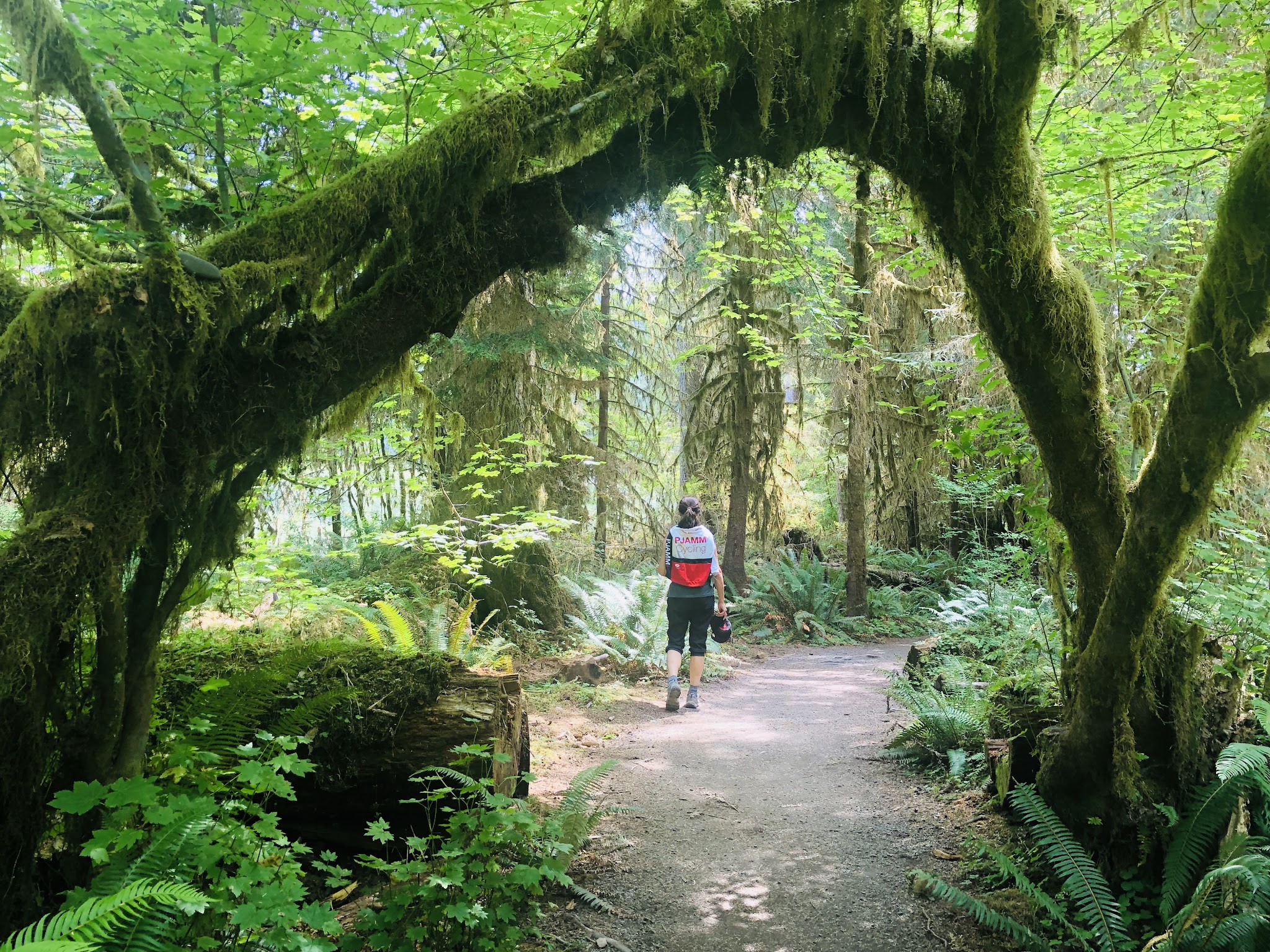 Cycling Hurricane Ridge - Hoh Rainforest