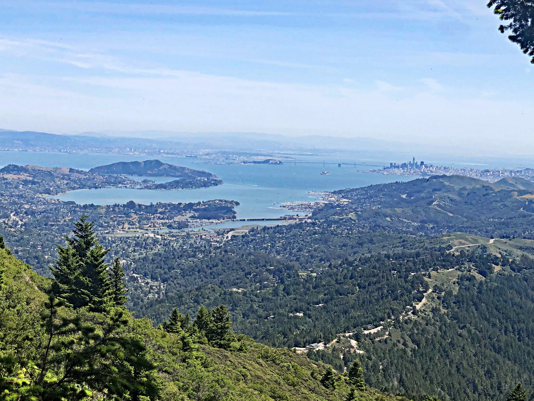 Cycling Mt. Tamalpais from Panoramic Highway South - aerial view of San Francisco bay and green forested hillsides surrounding