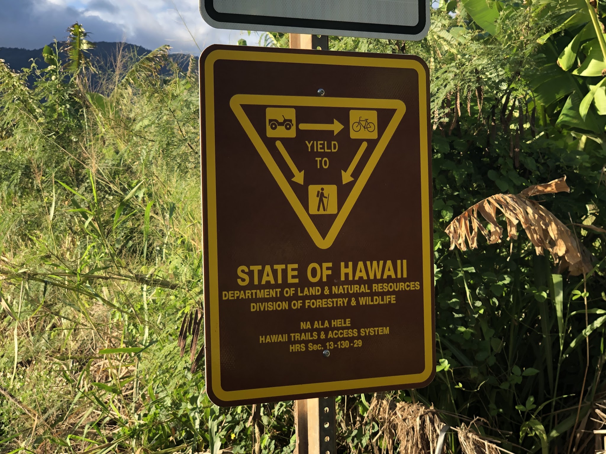 Climbing Mokuleia Forest Reserve Road by bike - road sign