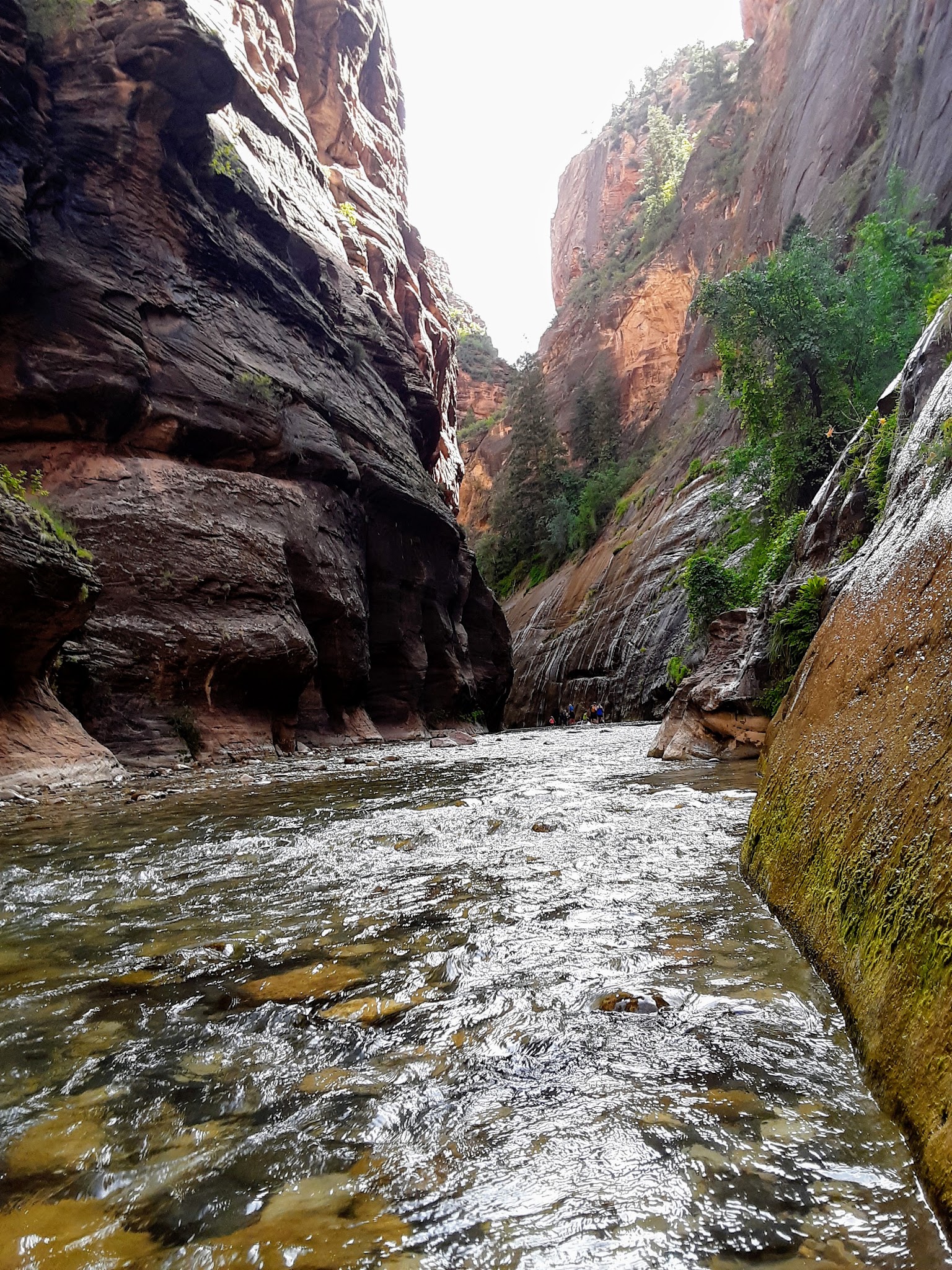 Cycling Zion National Park - Angels Landing Cycling Zion National Park - aerial drone view of Angels Landing