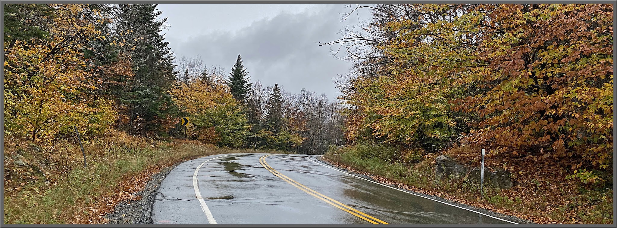 Cycling Route 118 North, New Hampshire - wet, two-lane road surrounded by fall foliage and mist
