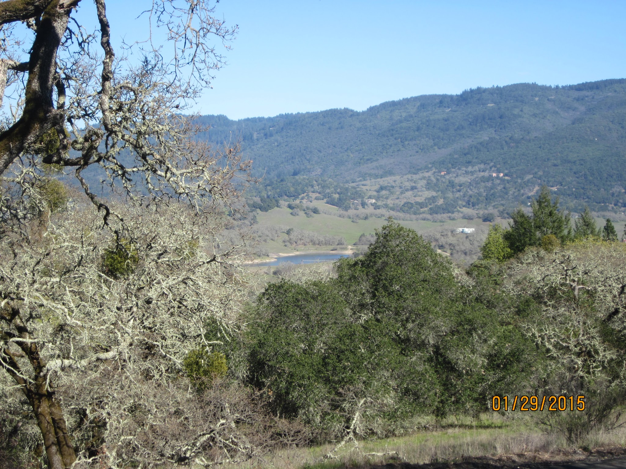 IMG_1763.JPG