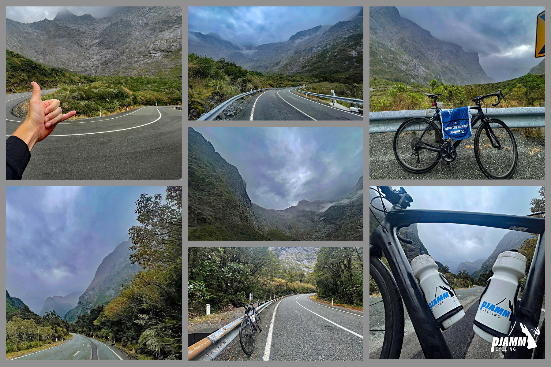 hairpin turn, dense forestation