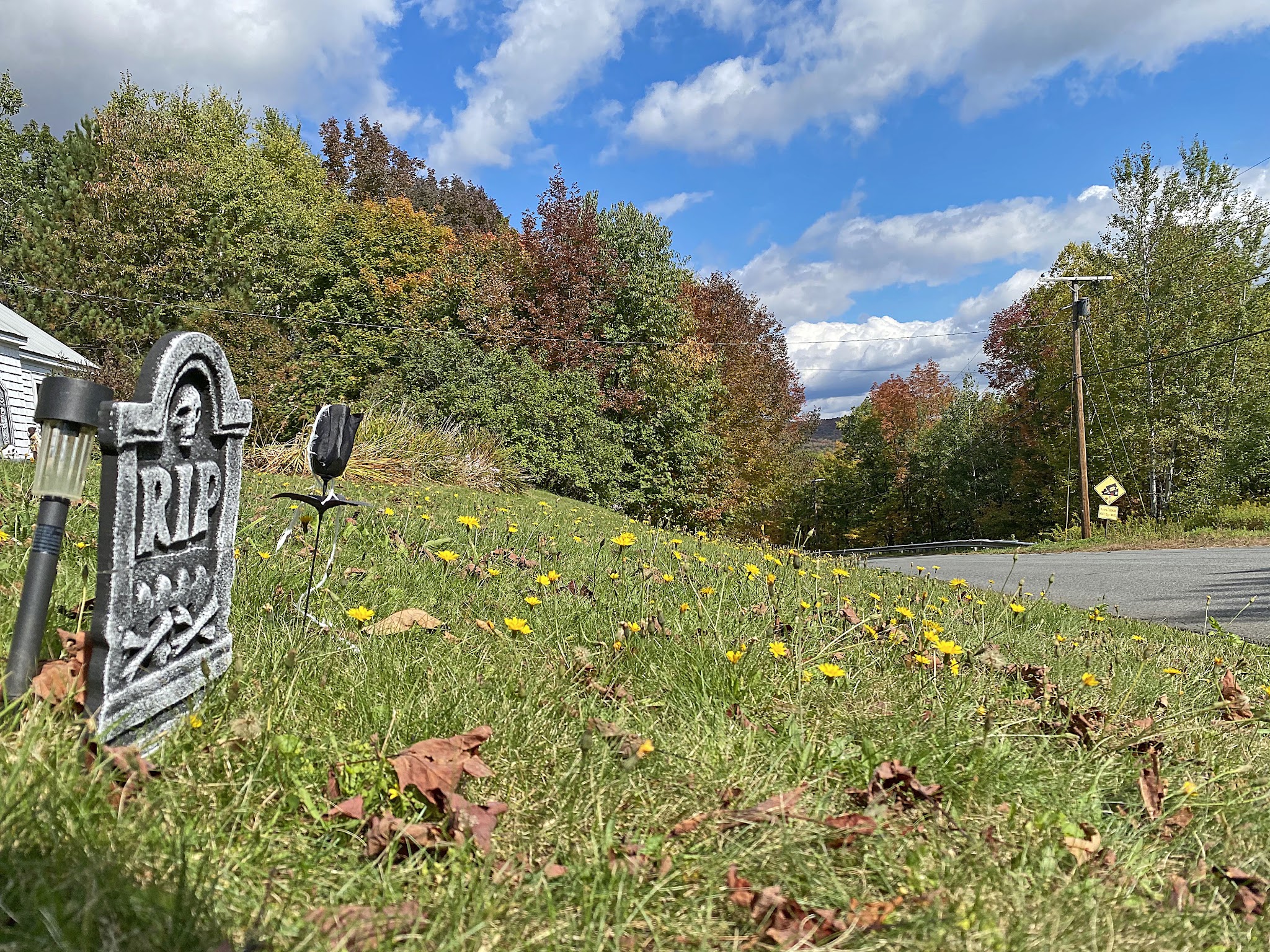 Cycling Whitcomb Hill Road, Massachusetts - halloween decor on roadside