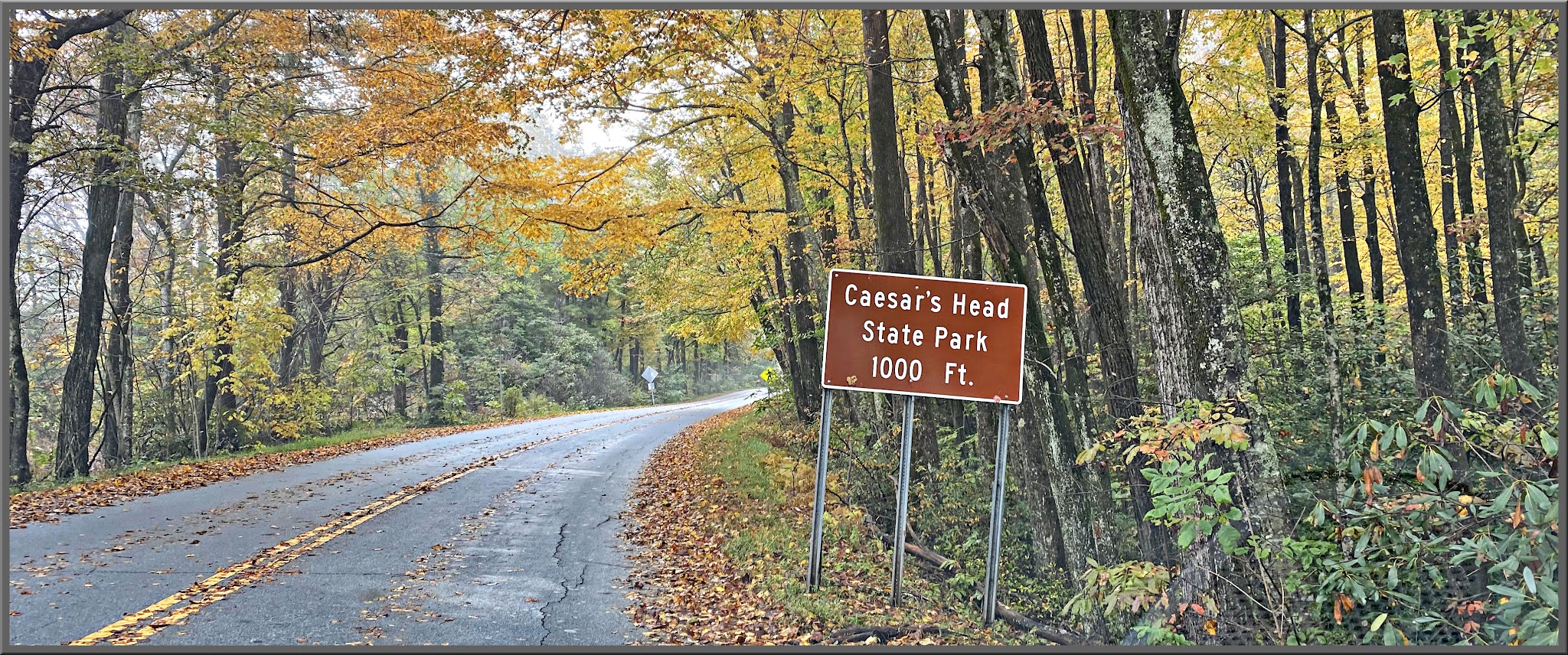 Cycling Caesars Head, South Carolina - densely tree-lined two-lane road, yellow fall foliage, sign for Caesars Head State Park