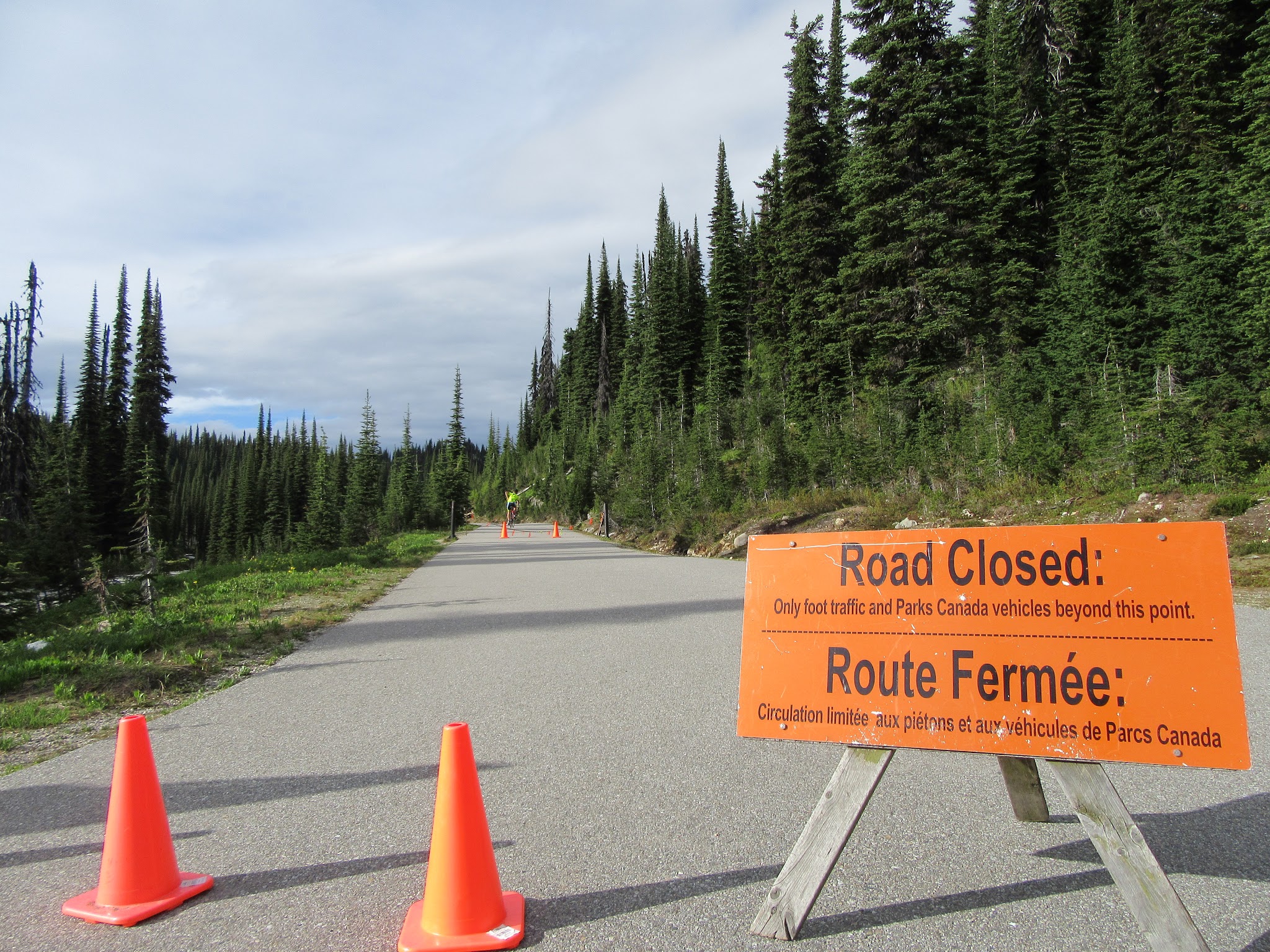 Cycling Mt. Revelstoke, BC, Canada - traffic cones and orange sign in center of road noting the road is closed beyond this point, tall, spiky evergreen trees along roadside