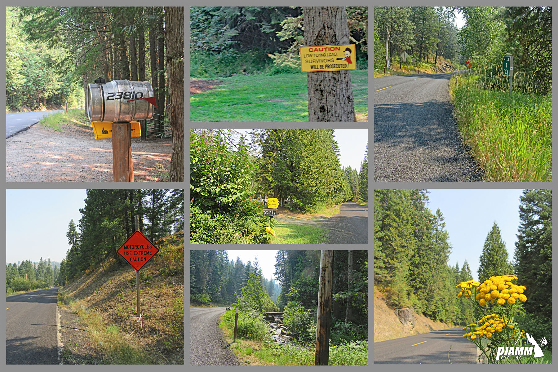 Cycling Mt. Spokane, Washington - photo collage, PJAMM Cycling logo in corner, various roadsigns along roadway, creek bed running along roadside, golden wildflowers growing along roadway