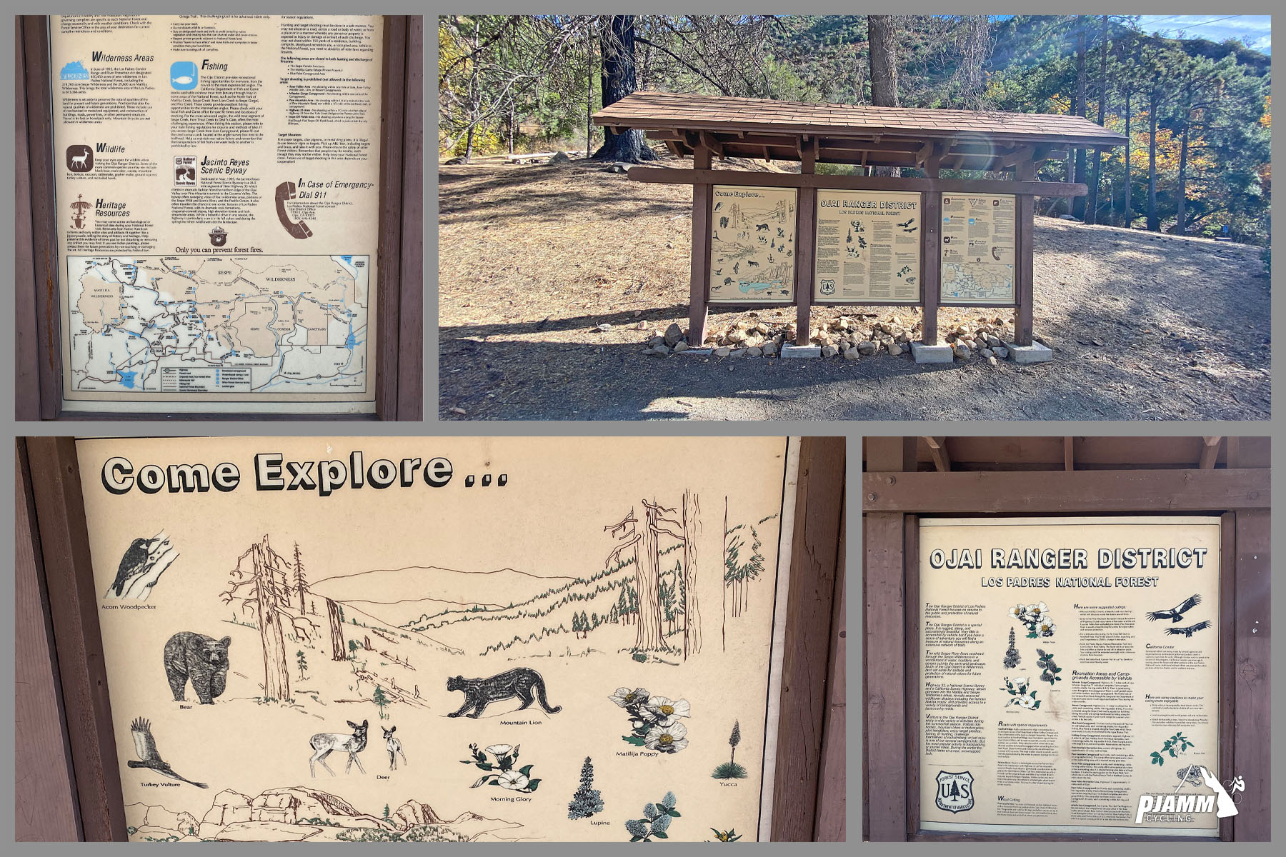 Cycling Highway 33 to Pine Creek Summit  - informational wildlife signs at visitor center