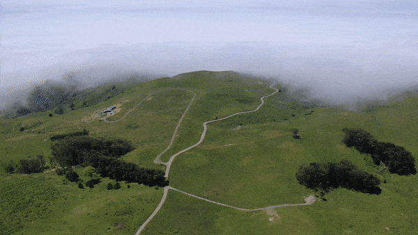 Cycling Coleman Valley Road - aerial drone photo of road and fog over Pacific Ocean