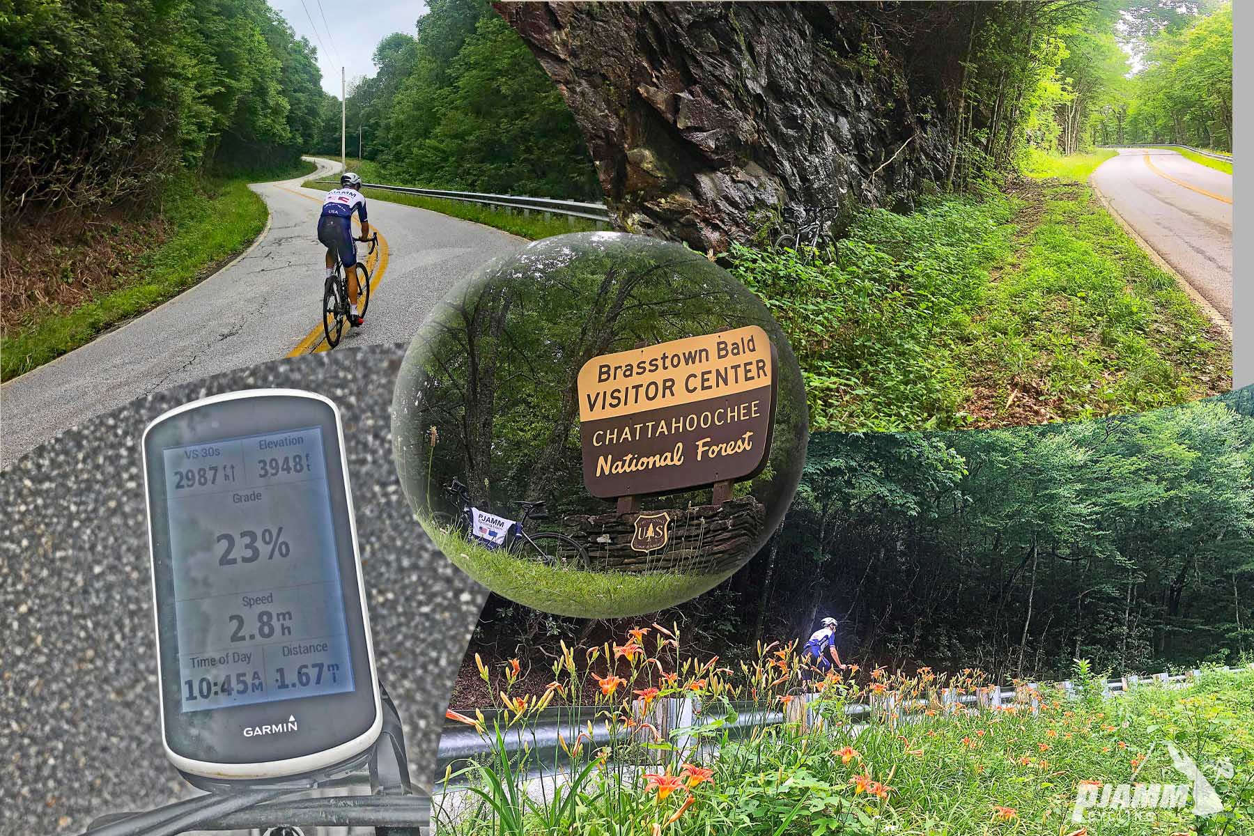 Cycling Brasstown Bald, Georgia - photo collage, PJAMM Cycling logo in corner, cyclist climbing on windy portion of road, Garmin device showing 23% grade, sign for Brasstown Bald Visitor Center Chattahoochee National Forest, cycling riding on roadway next to orange lillies