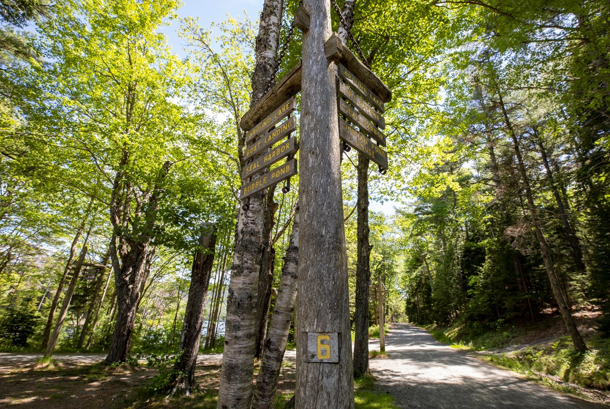 Cycling Cadillac Mountain, Maine - carriage road and wooden signpost in Acadia National Park