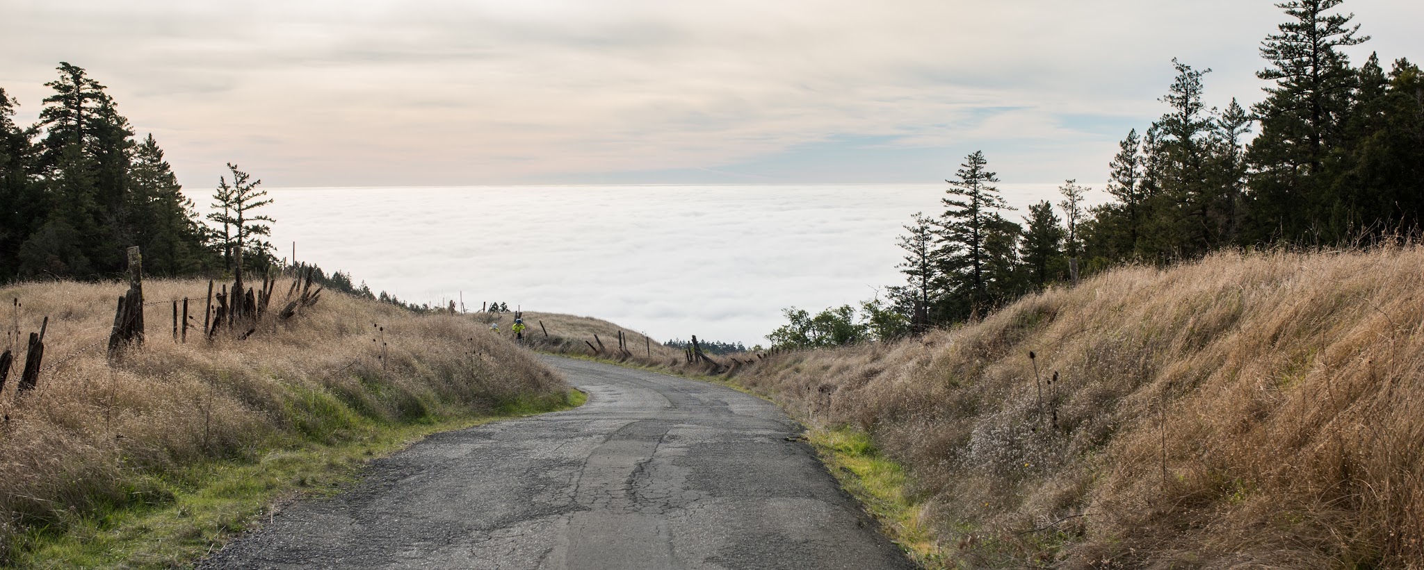 cycling Fort Ross Road - road, fog over Pacific Ocean