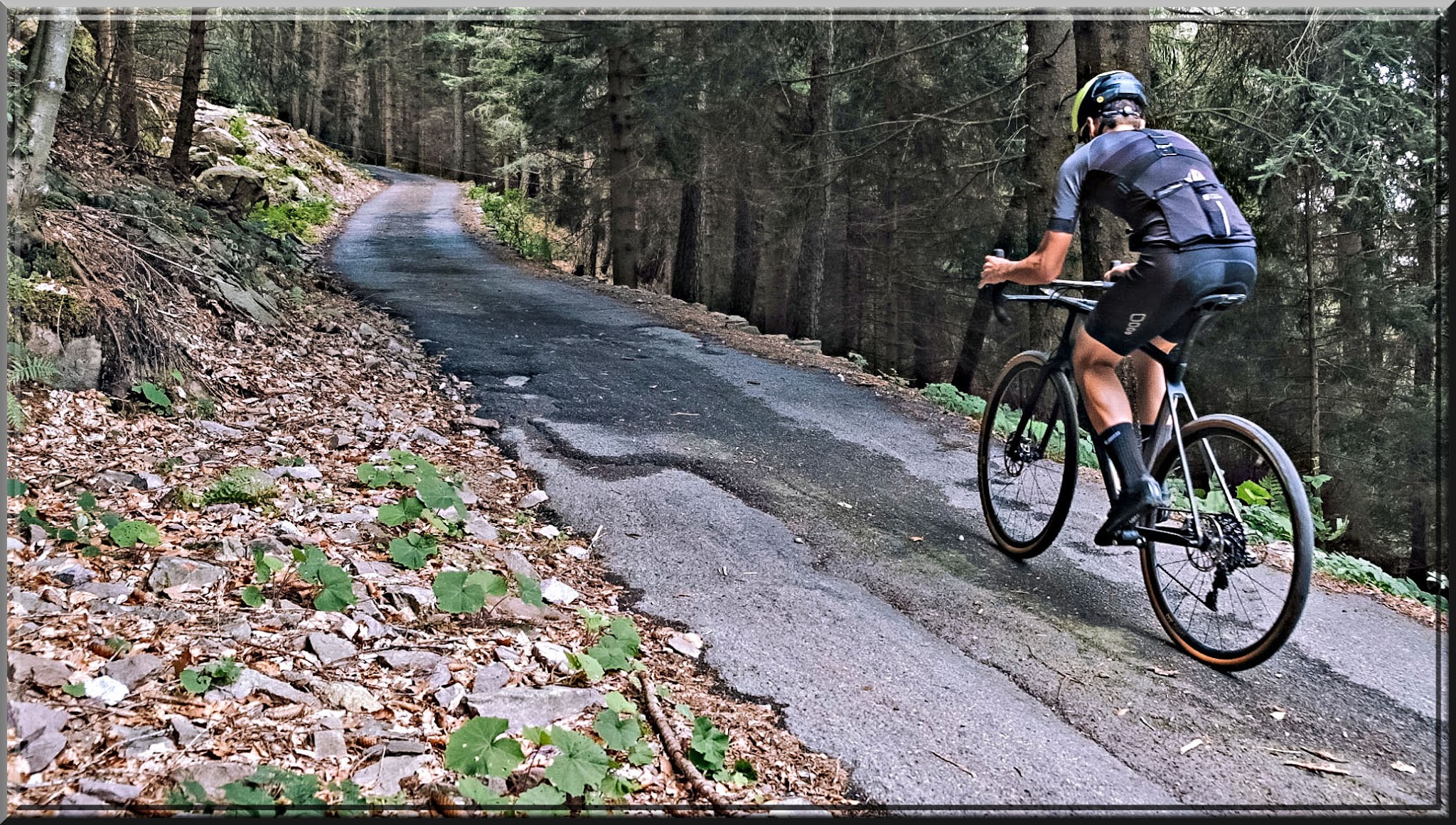 Cycling Pozza San Glisente, Italy - cyclist riding on one-lane, narrow and steep rural roadway surrounded by trees