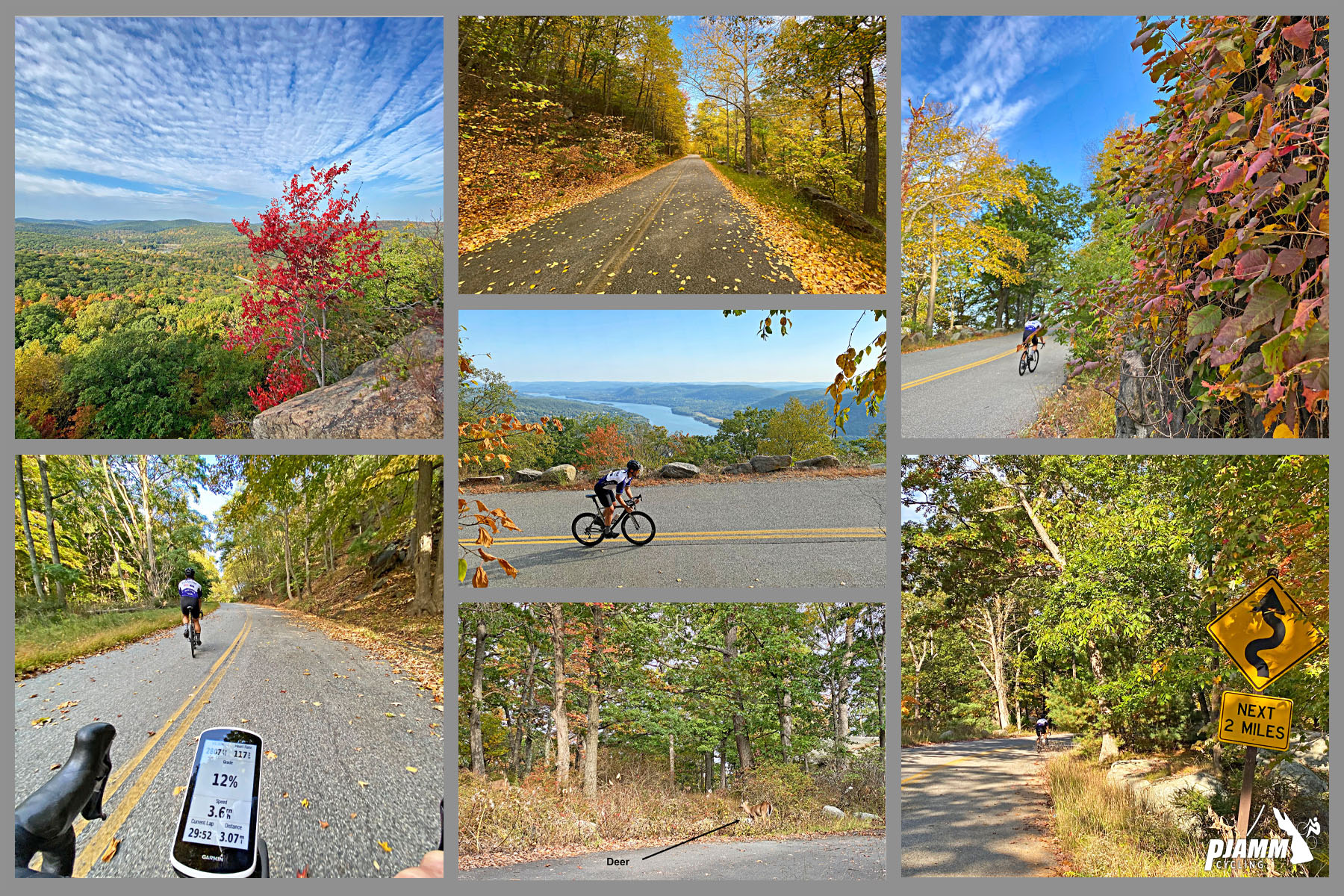 Cycling Bear Mountain, New York - photo collage, views of Bear Mountain in the fall foliage, PJAMM Cycling logo in corner