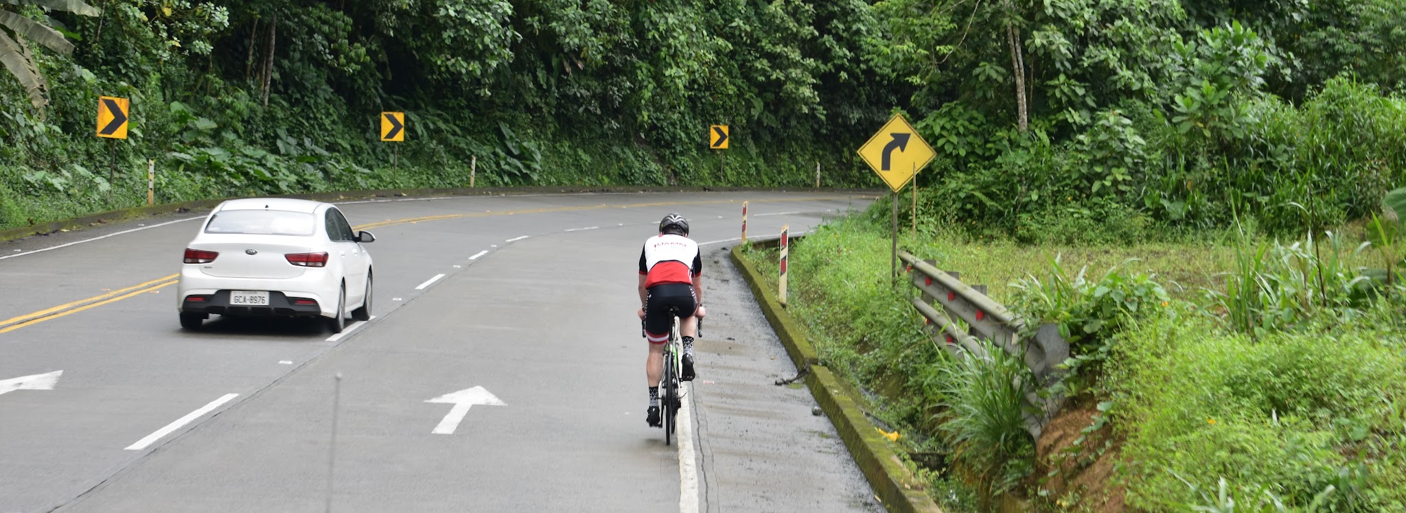 PJAMM cyclist rides on roadway next to white car surrounded by lush green landscape
