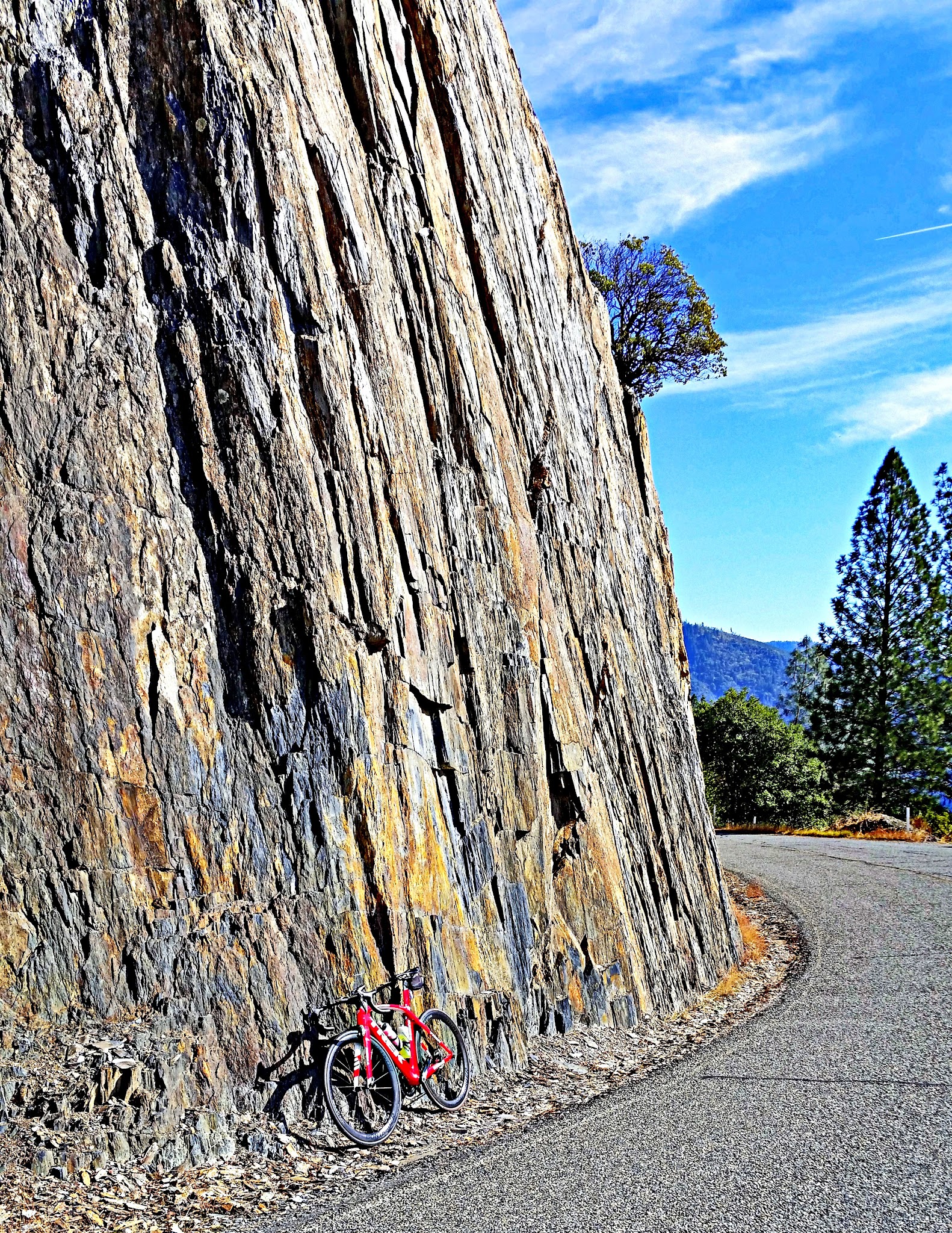 20151107_113317.jpg
