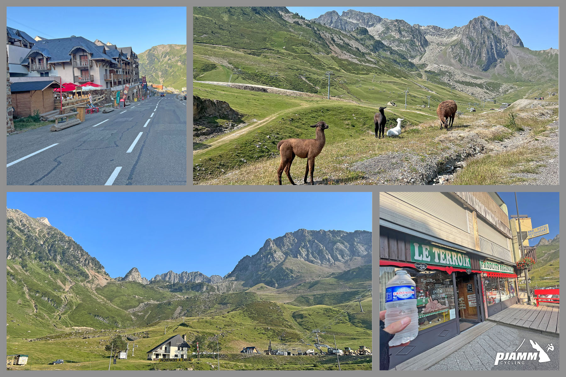 photo collage shows ski resort town of La Mongie, llamas grazing in pasture