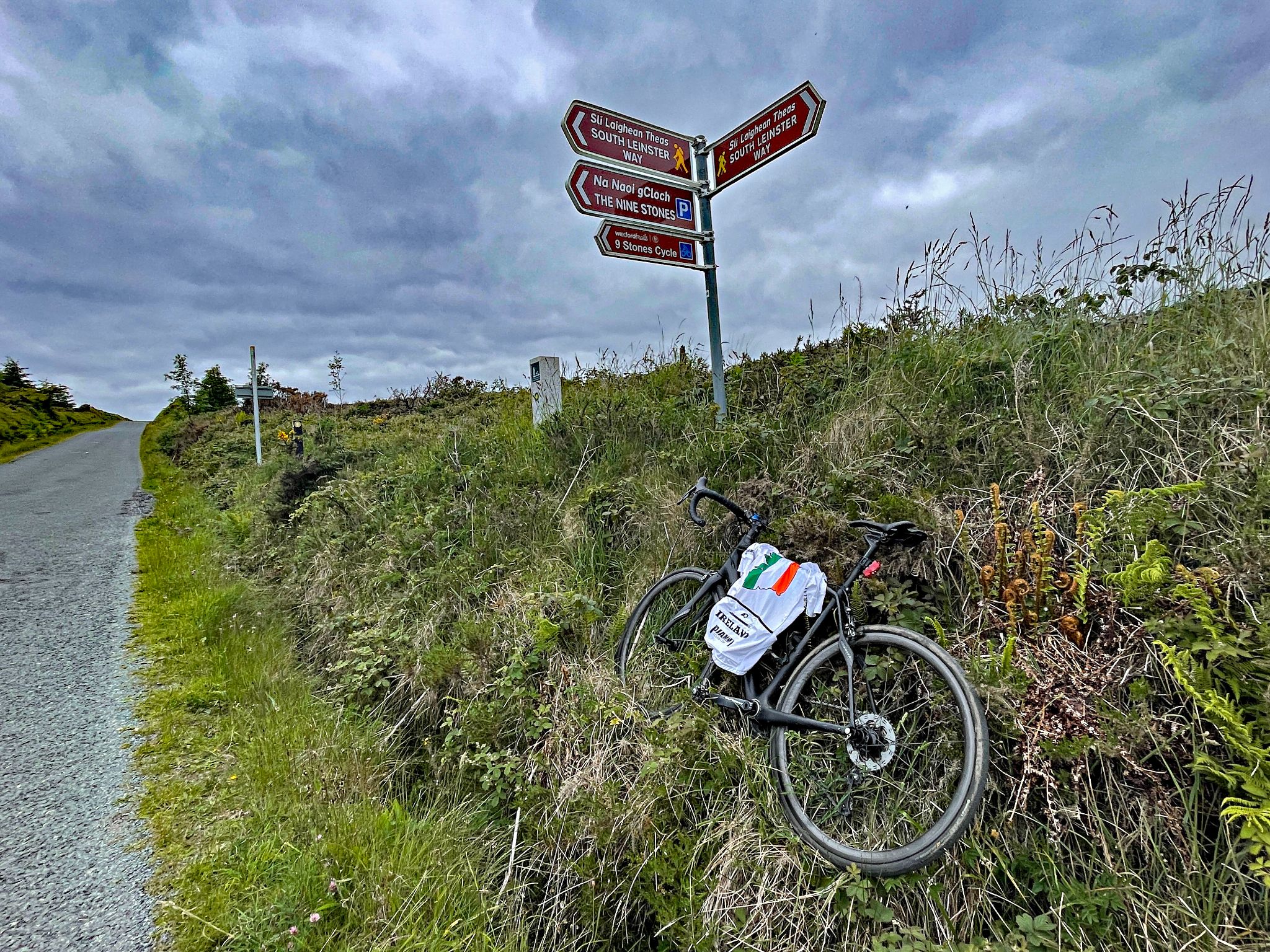 bike propped in brush on roadside next to street signs, kilometer 8.1