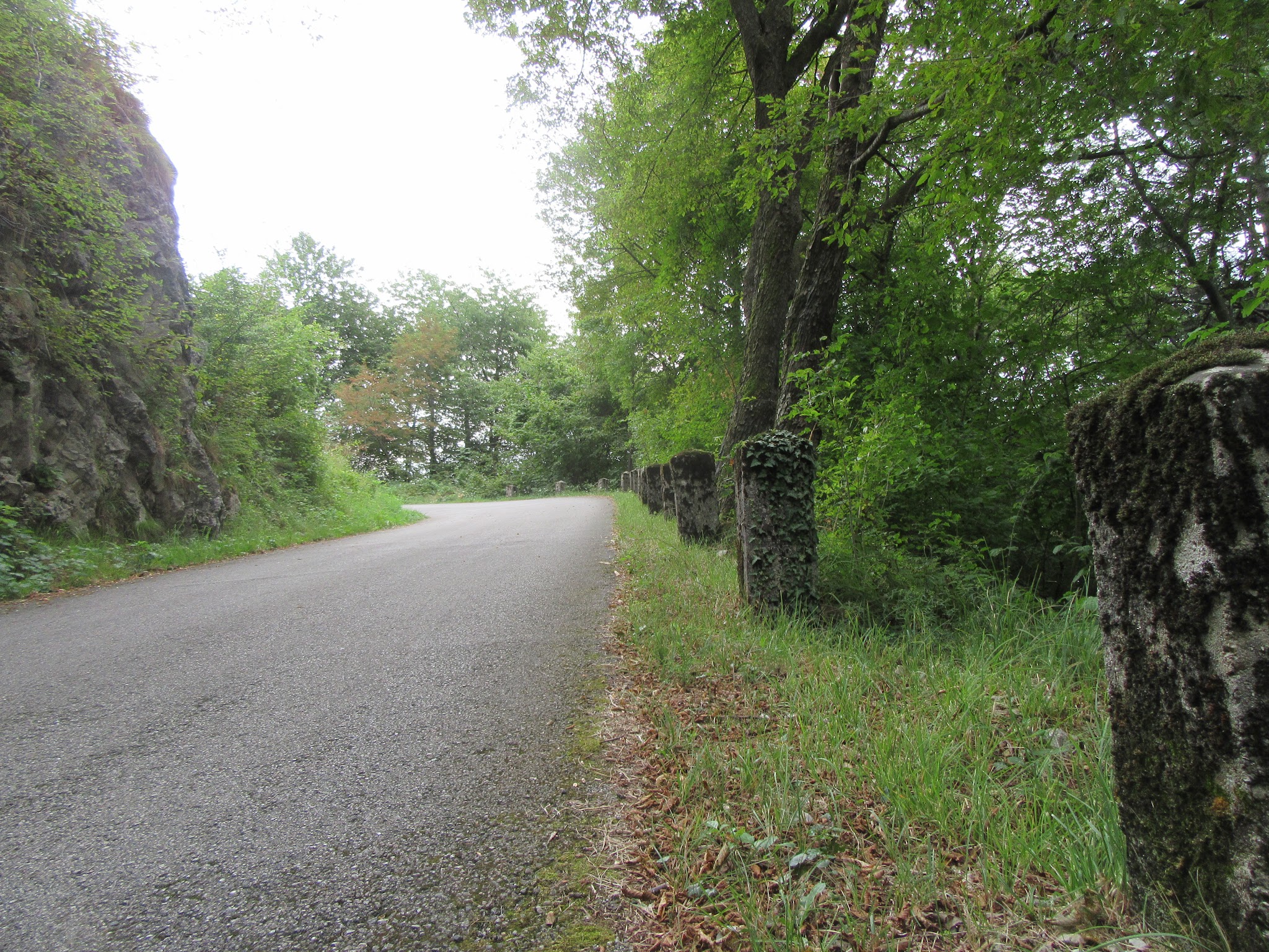 Bicycling Monte Grappa from Fietta  - roadway surrounded by trees