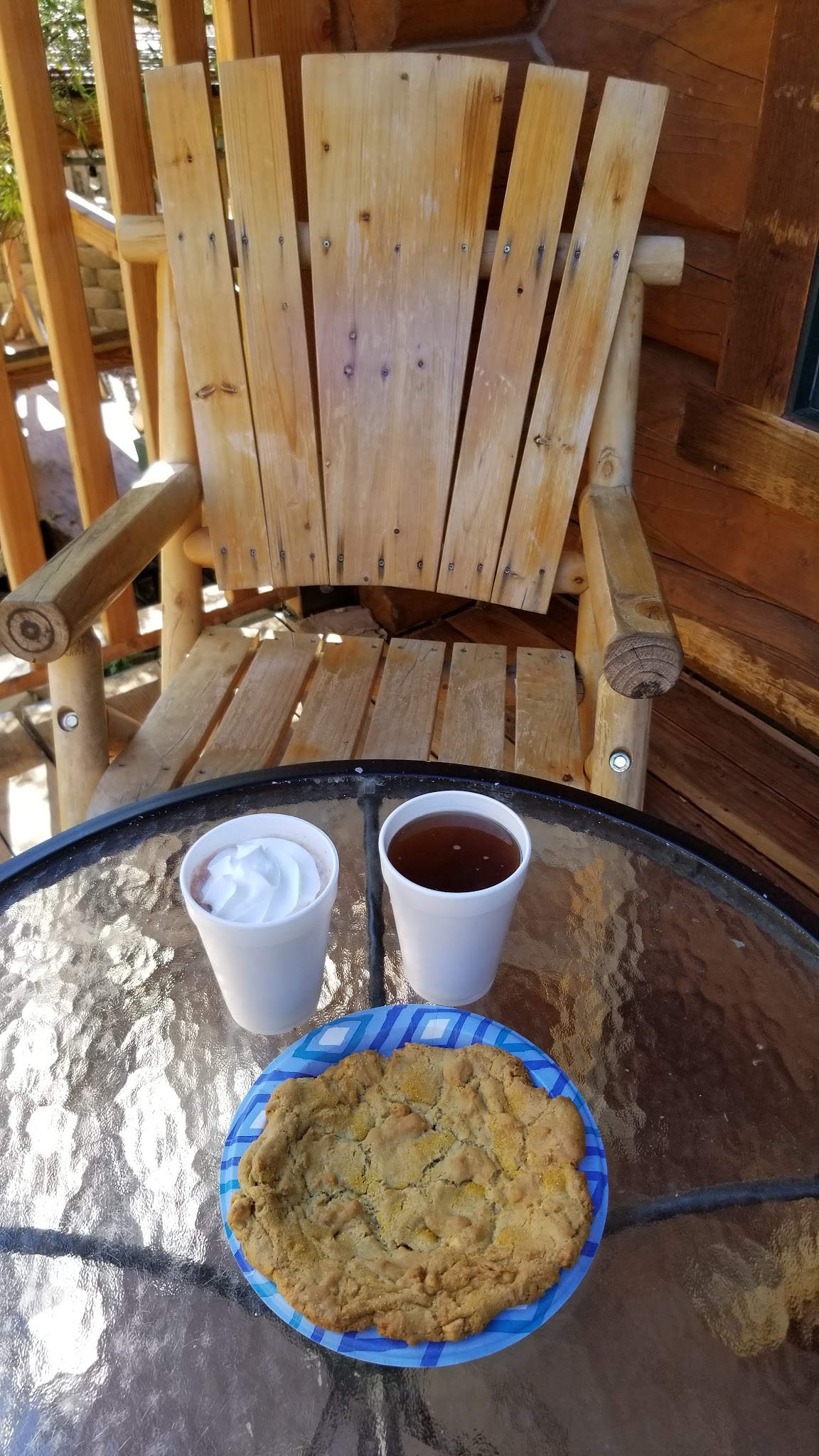 Cycling Mt. Lemmon, Arizona - Cookie Cabin, plate sized cookie and drinks