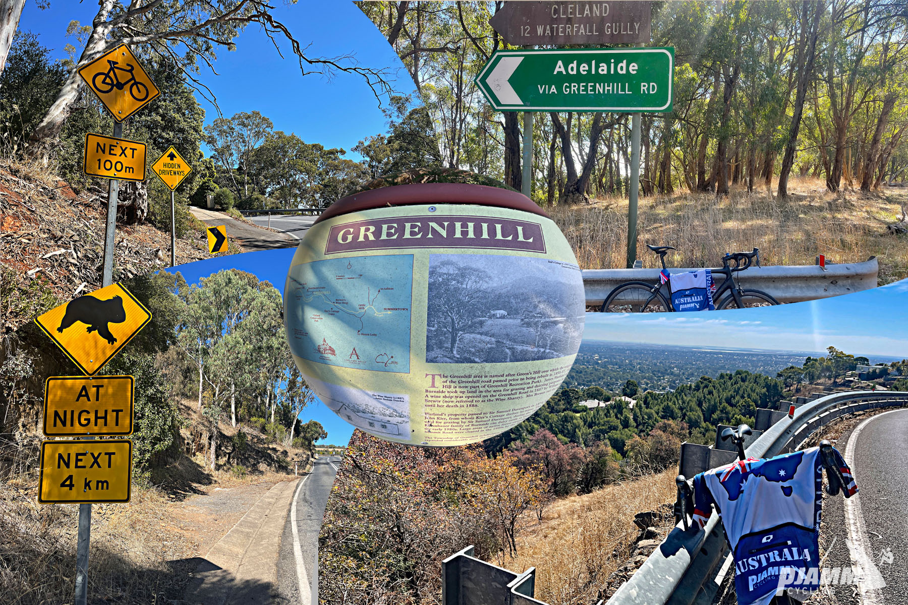 photo collage shows animal crossing at night sign, signs for Adelaide via Greenhill Road, PJAMM Cycling Australia jersey