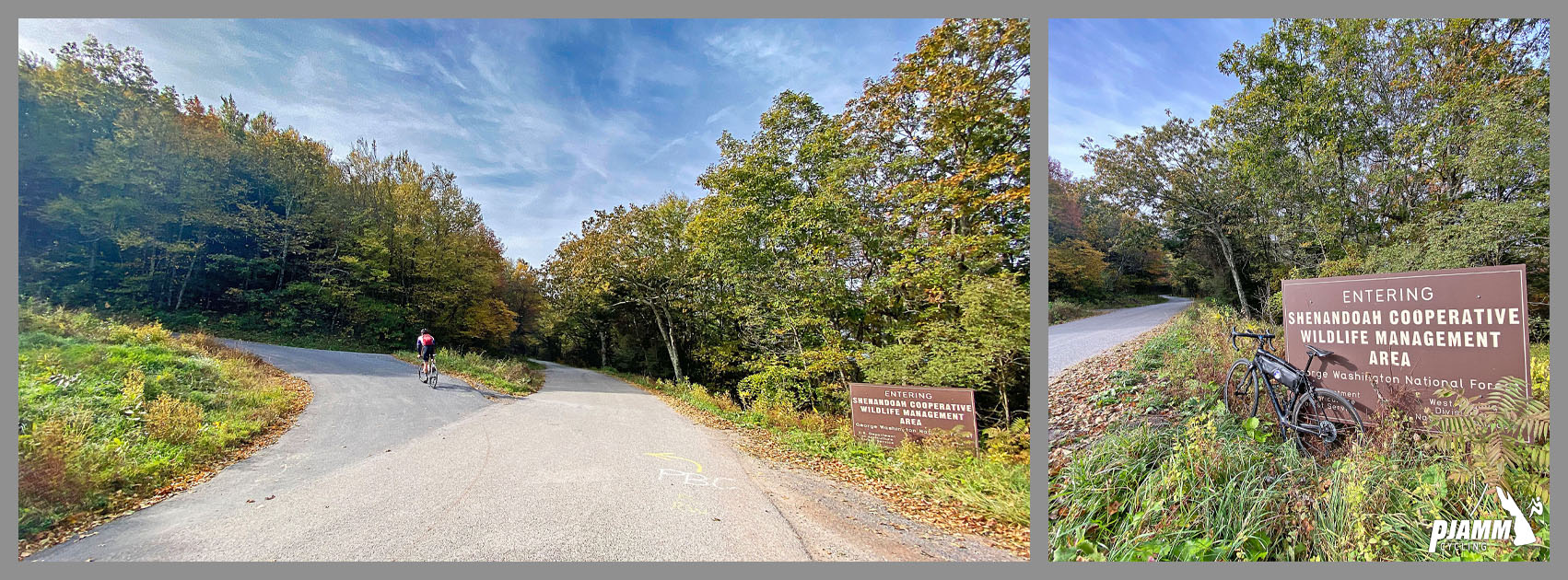 Cycling Reddish Knob, Virginia - road forks, keep right, fall foliage