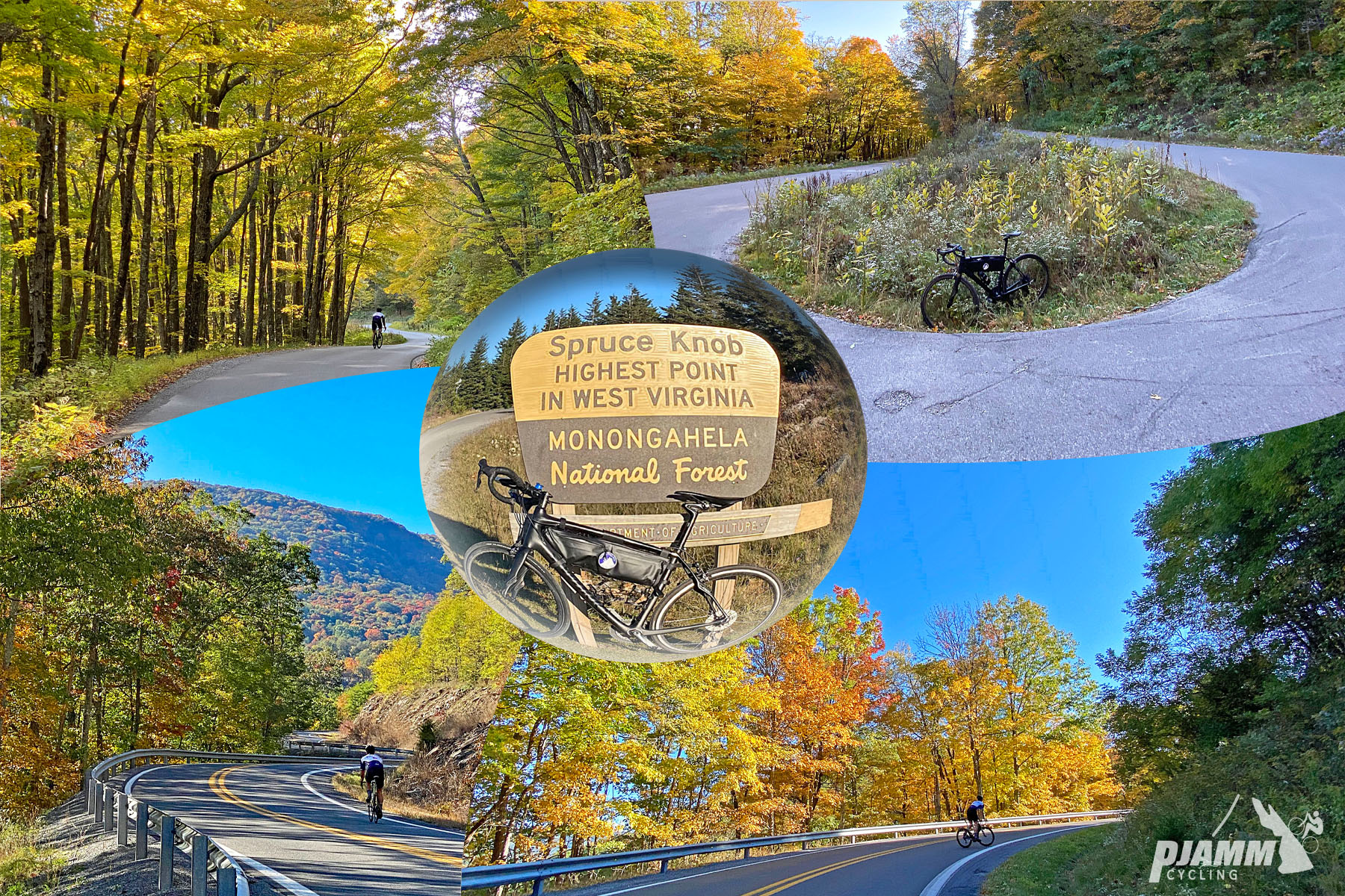 Cycling Spruce Knob, West Virginia - photo collage,  bike parked in front of NPS sign for Spurce Knob, Monongahela National Forest, two-lane highway roadway and one-lane curved roadway, both covered in dense bright yellow and orange fall foliage, PJAMM Cycling logo in corner