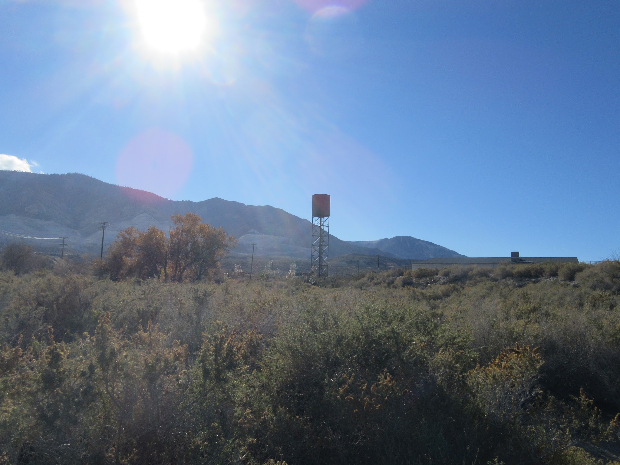 IMG_6979.JPG