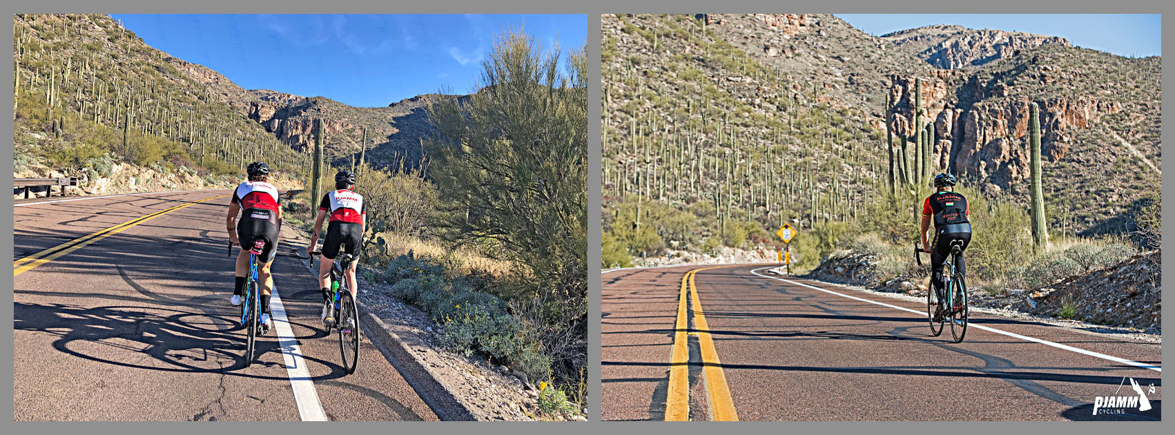 Cycling Mt. Lemmon, Arizona - cyclists ride on two-lane roadway surrounded by Saguaro cacti