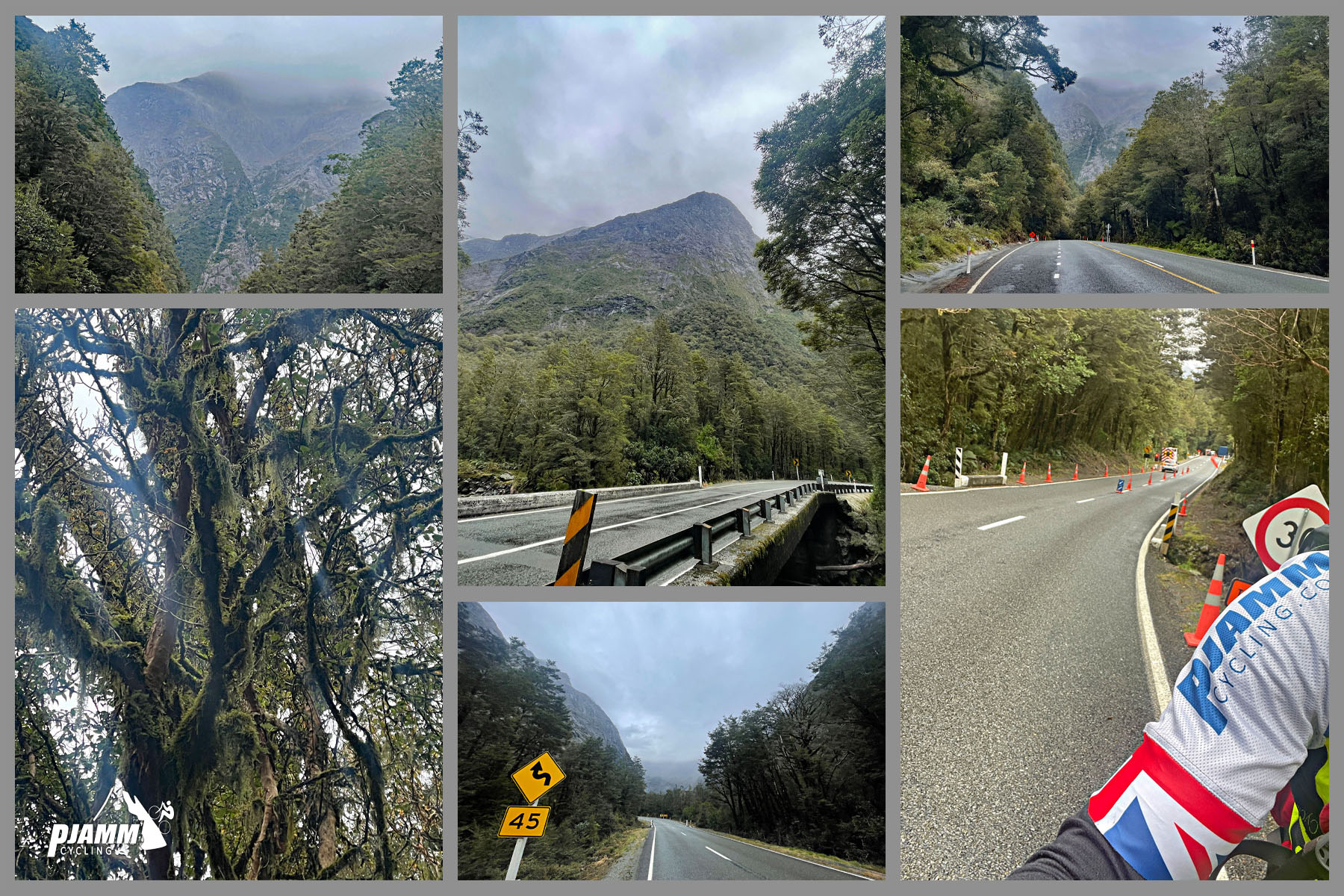 dense forestation on beginning of climb