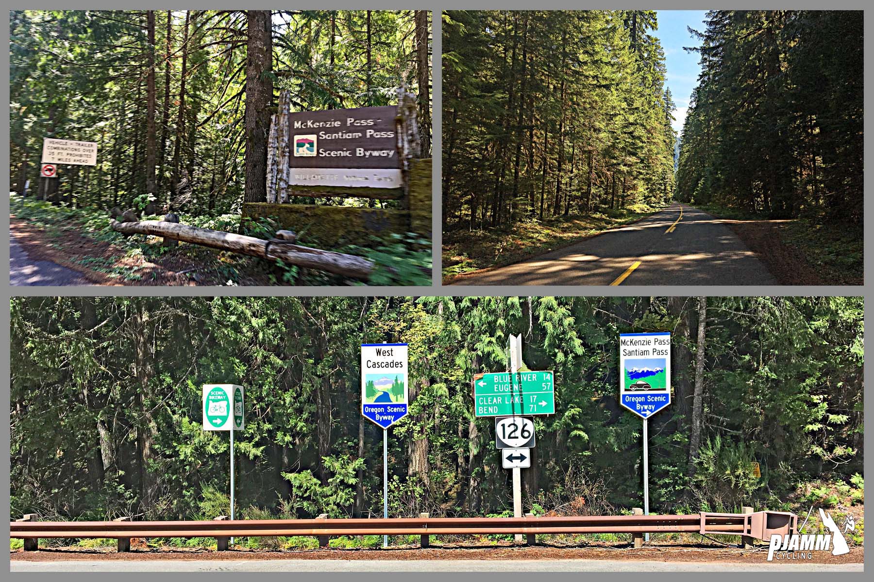 Climbing Mckenzie Pass East by bike - photo collage, alpine forest, tree lined roads, McKenzie Pass and Cascade Forest road signs