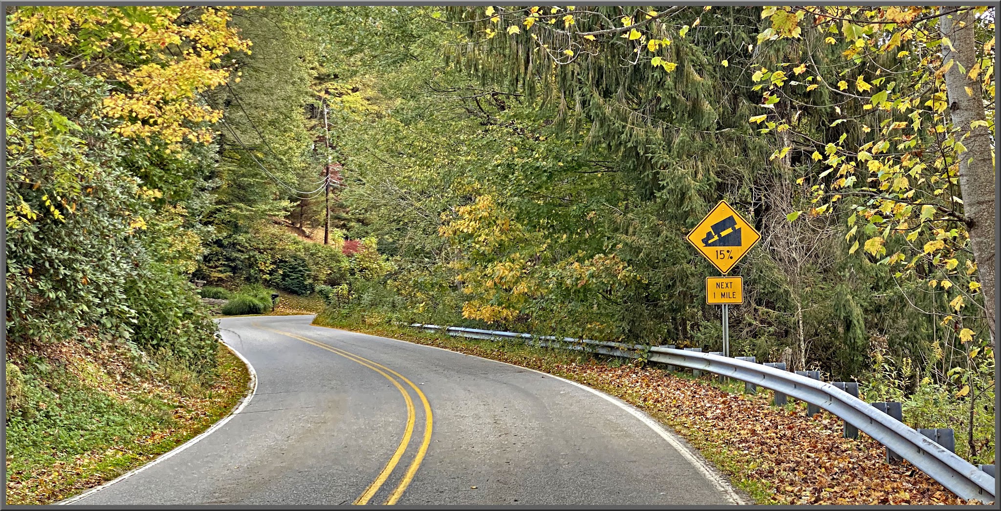 Cycling Fie Top Road, North Carolina - two-lane road surrounded by yellow and green foliage, road sign reads 15% grade