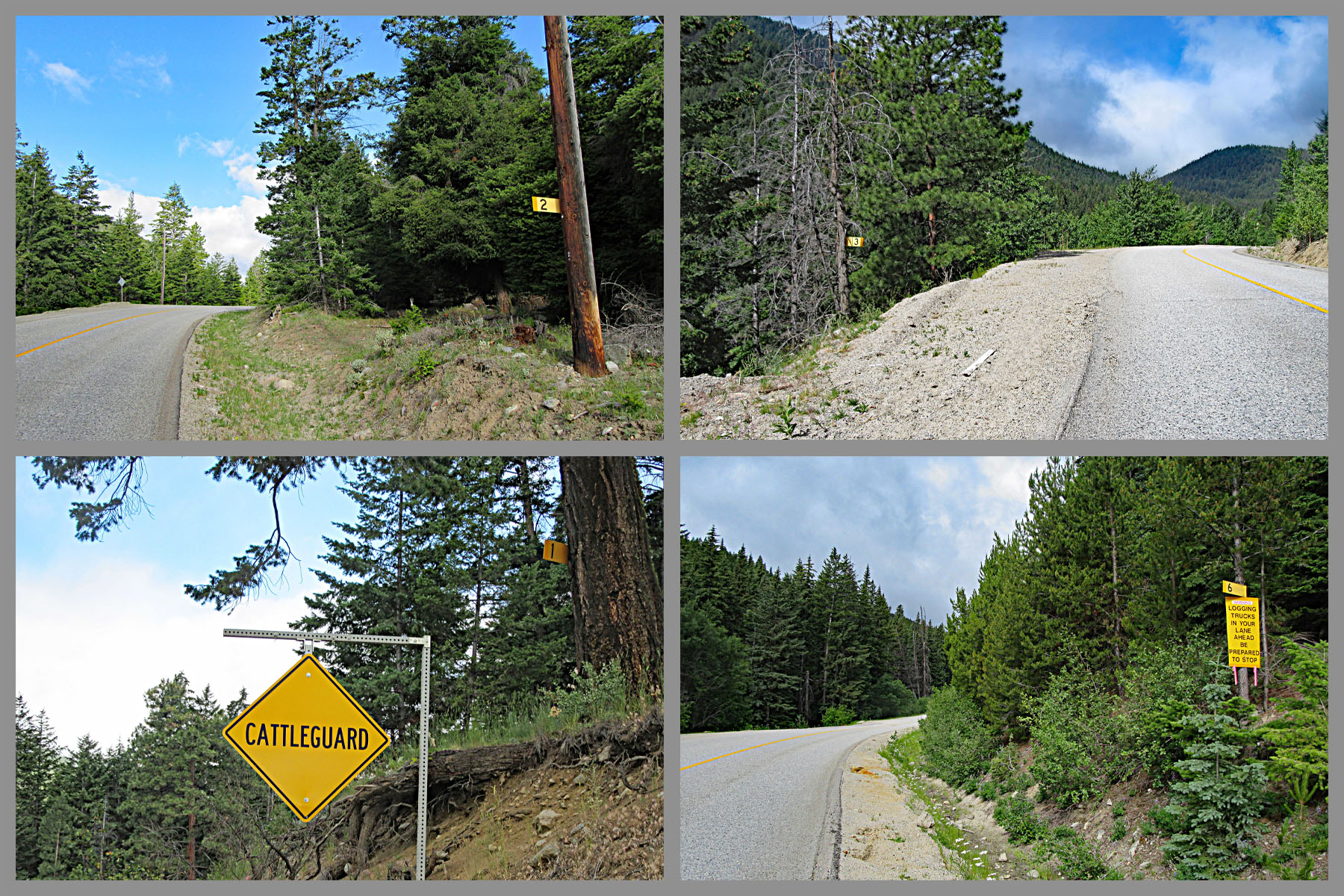 Cycling Apex from Penticton - Penticton Indian Band sign on tree and road