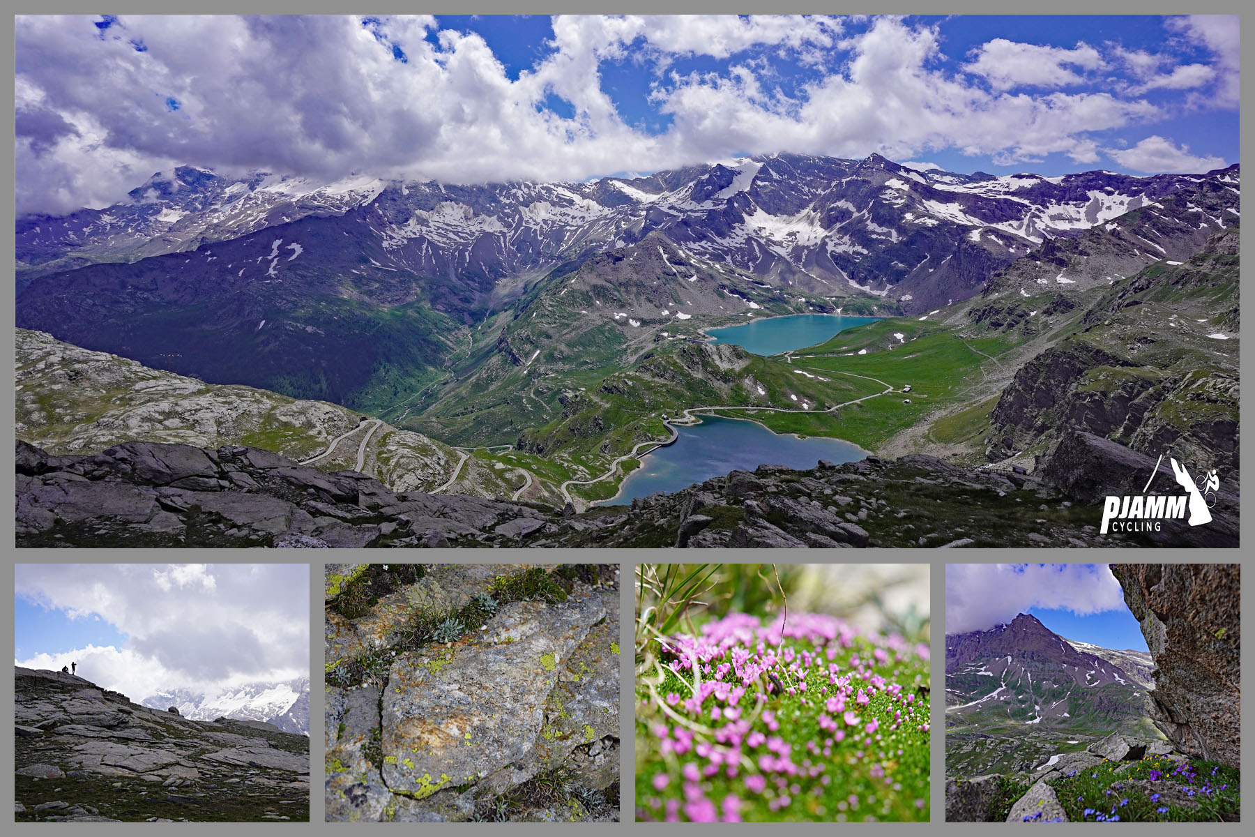 Cycling Colle de Nivolet, Italy - photo collage shows beautiful views from climb  finish, including Lago Serru and Lagu Angel, bright pink wildflowers, snow-dotted mountain peaks