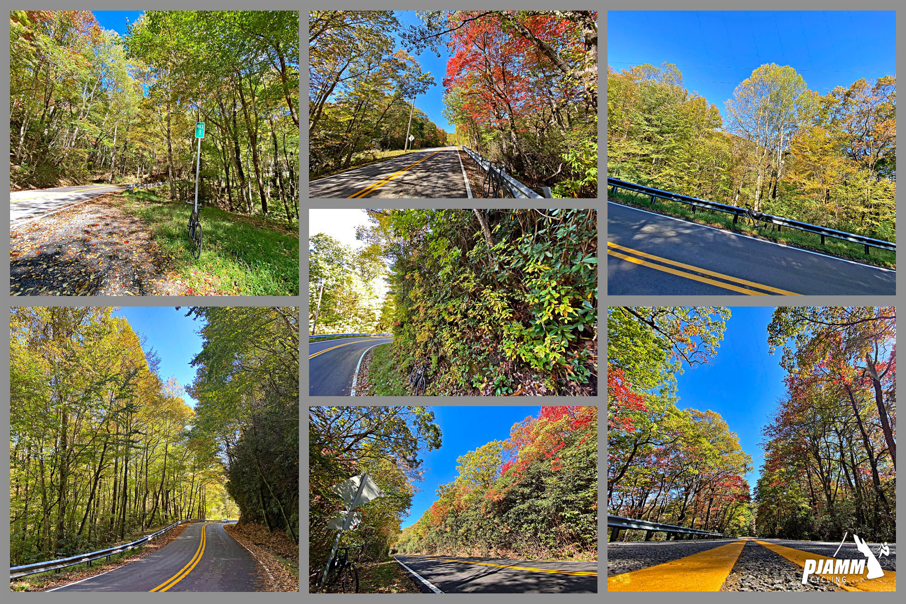 Cycling Brasstown Bald, Georgia - photo collage showing fall colors in foliage along Brasstown Bald climb, PJAMM Cycling logo in corner