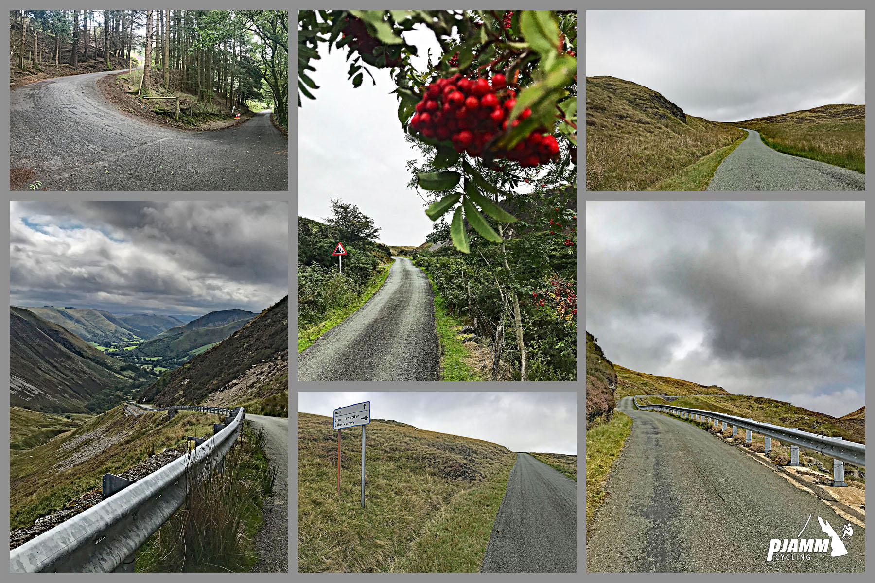 Cycling Bwlch y Groes - photo collage showing winding, misty roads, red berries hanging on tree over narrow, one-lane road, guardrail and roadsigns along road