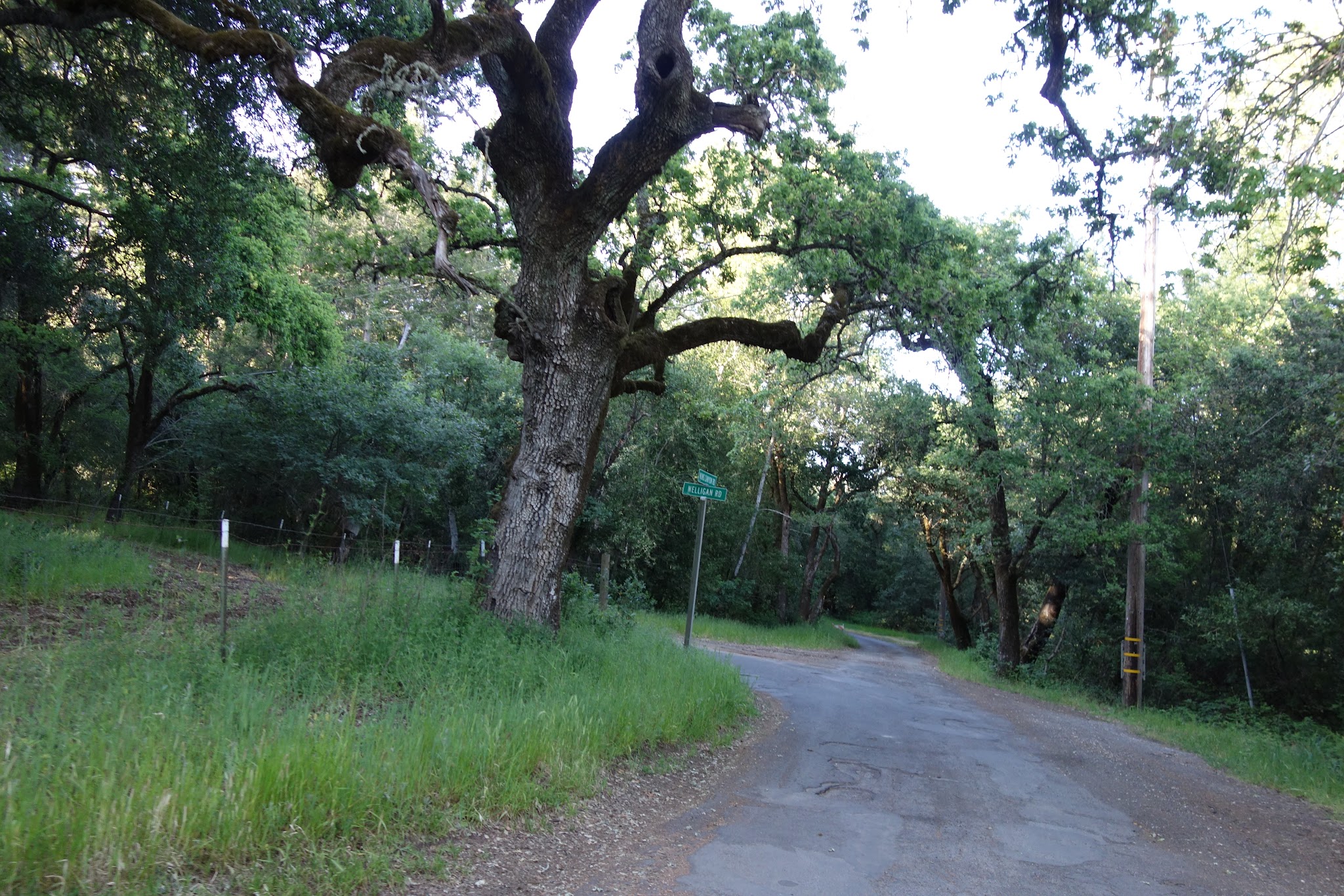 DSC02189.JPG