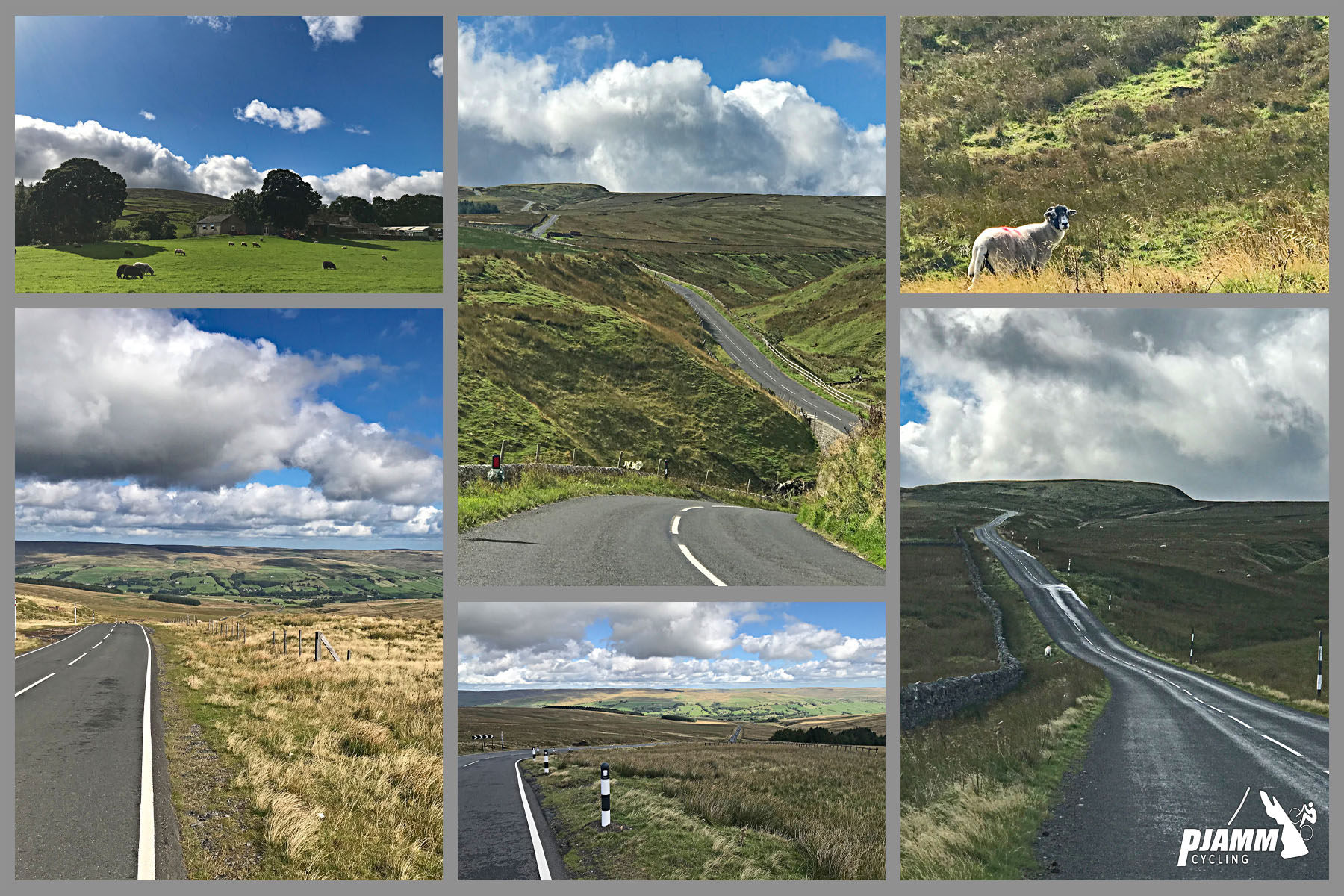 Cycling Chapel Fell - stretches of two-lane road winding uphill, green pastureland with horses and sheep grazing, blue sky, PJAMM Cycling logo in corner