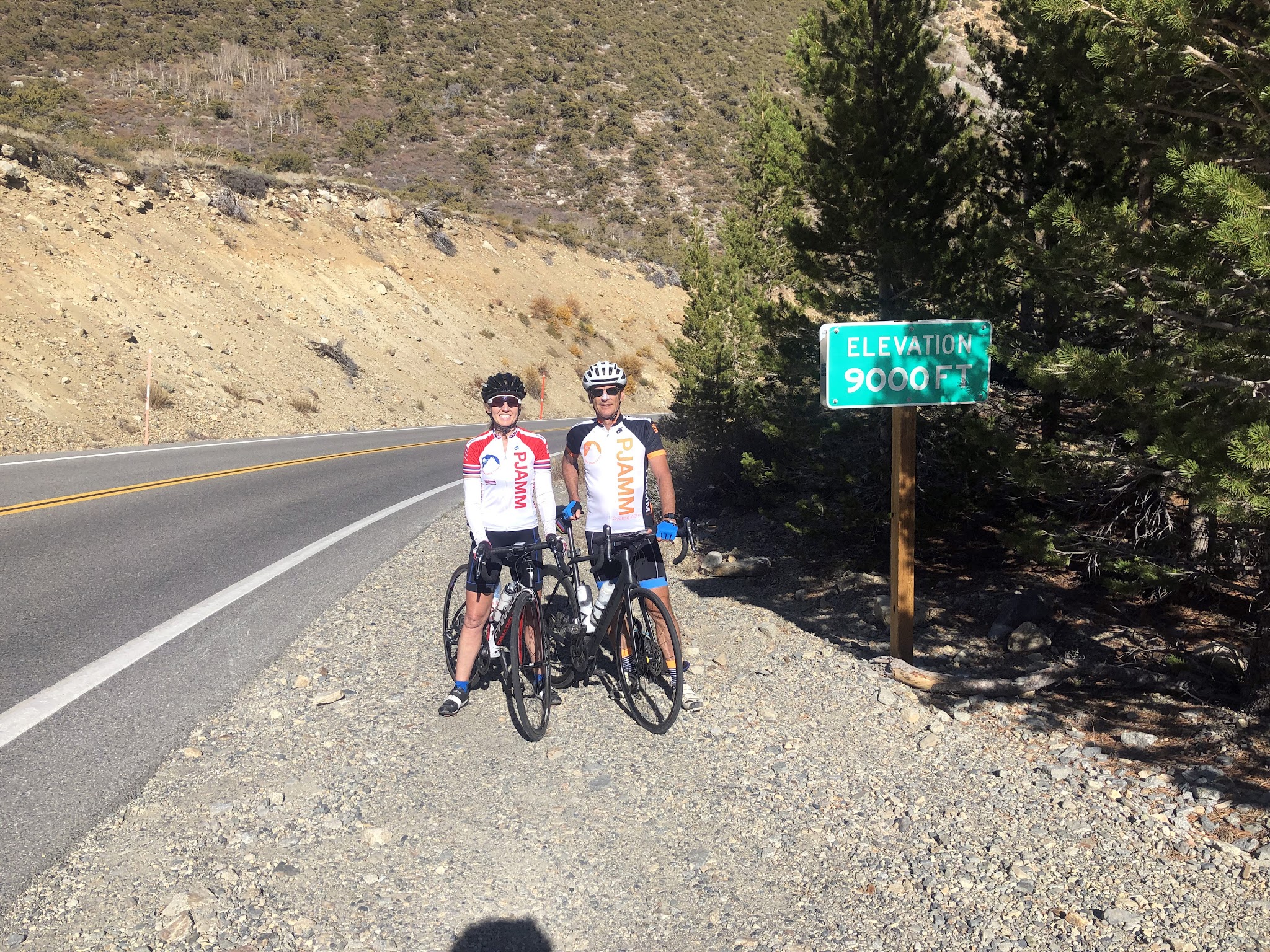 cycling Tioga Pass - cyclist passing flowers, roadway and mountains