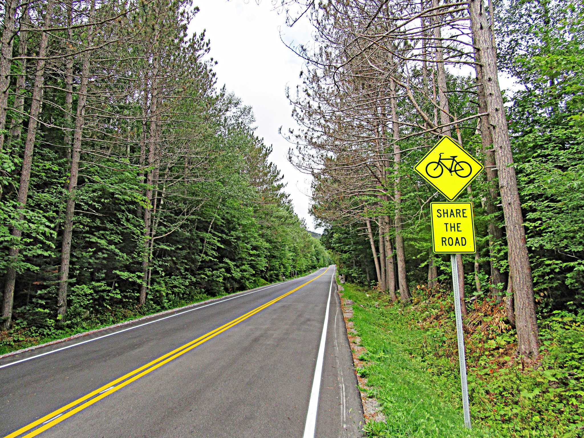 Cycling Whiteface Mountain Memorial Highway - Share the Road sign